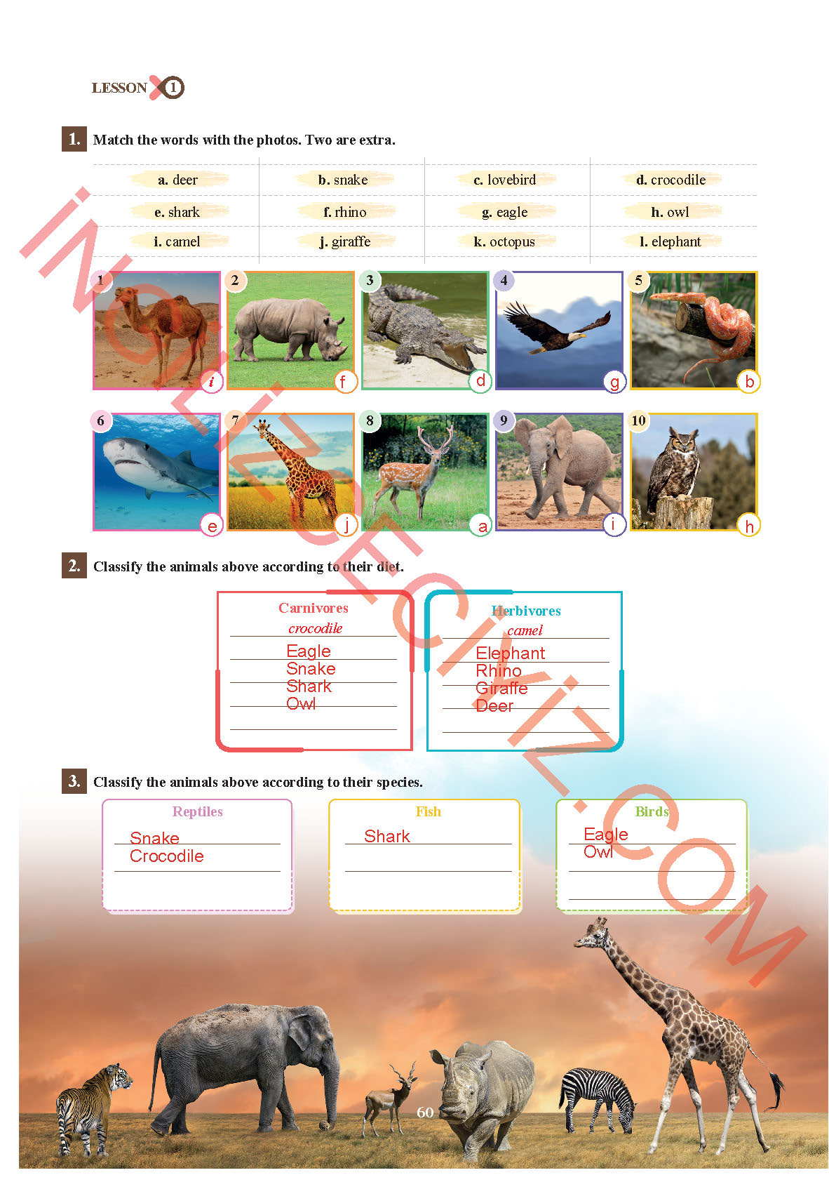 7. Sınıf İngilizce Sdr İpekyolu Yayınları Kitabı Sayfa 60 Cevapları