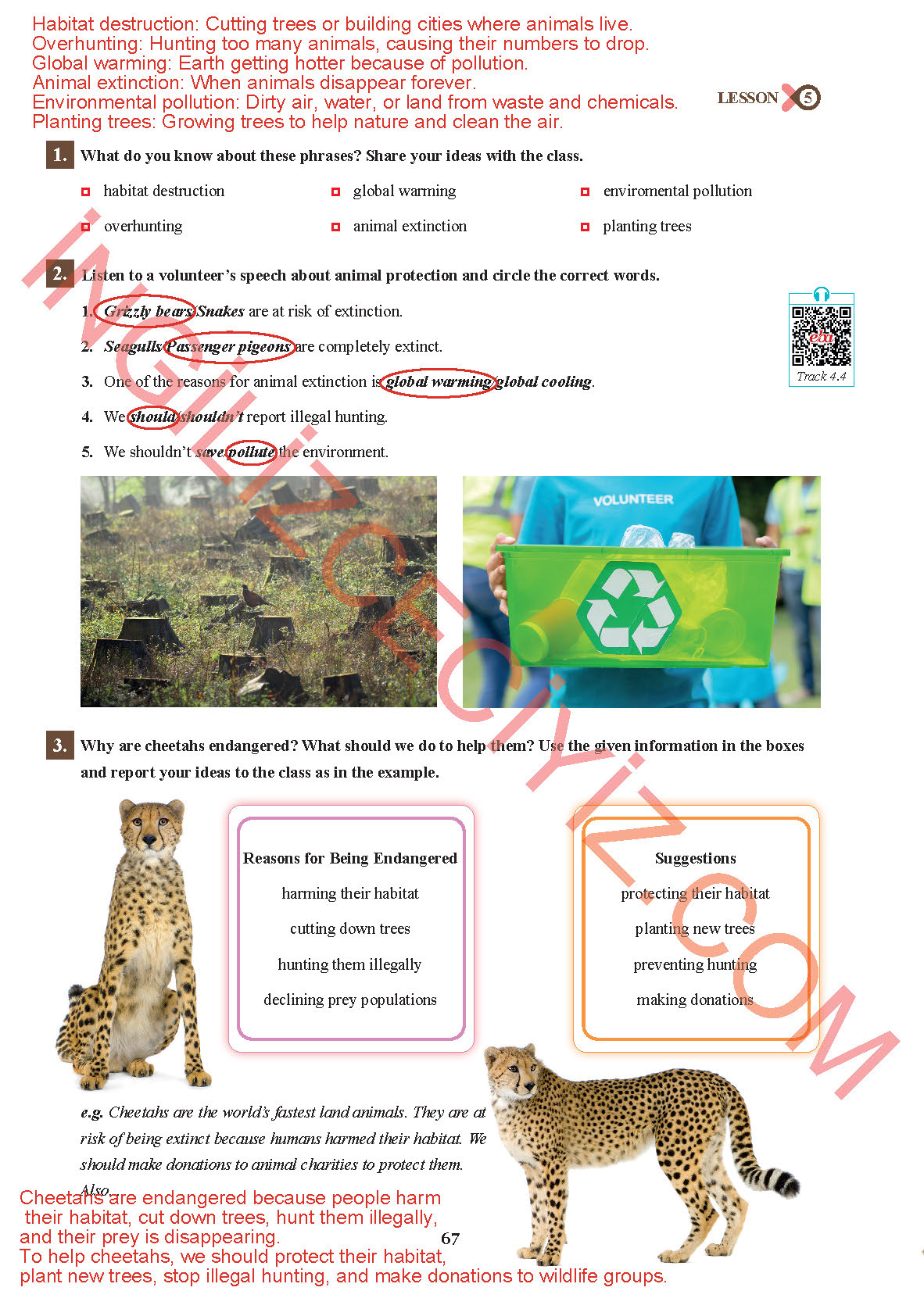 7. Sınıf İngilizce Sdr İpekyolu Yayınları Kitabı Sayfa 67 Cevapları