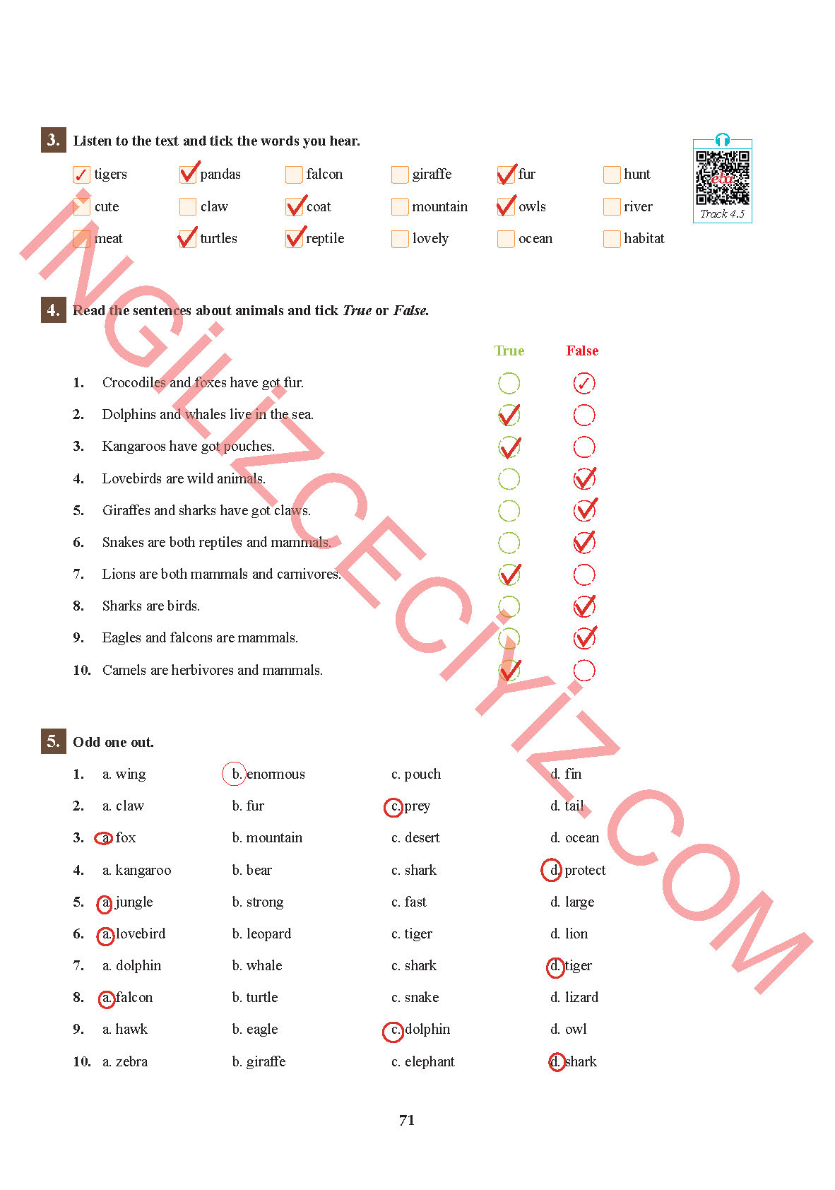 7. Sınıf İngilizce Sdr İpekyolu Yayınları Kitabı Sayfa 71 Cevapları