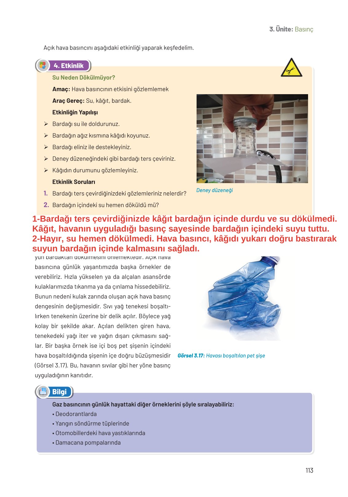 8. Sınıf Hecce Yayıncılık Fen Bilimleri Ders Kitabı Sayfa 113 Cevapları