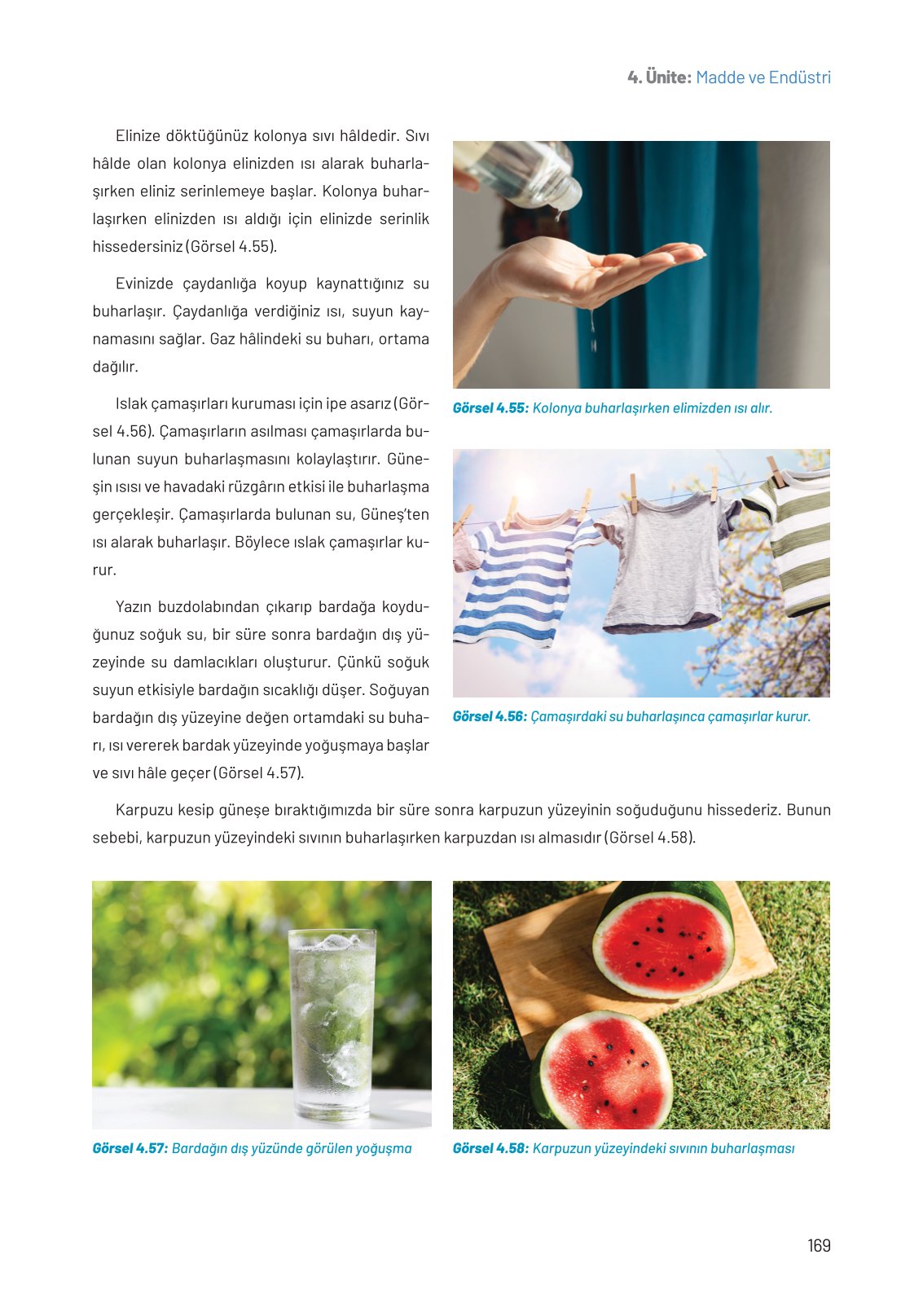 8. Sınıf Hecce Yayıncılık Fen Bilimleri Ders Kitabı Sayfa 169 Cevapları