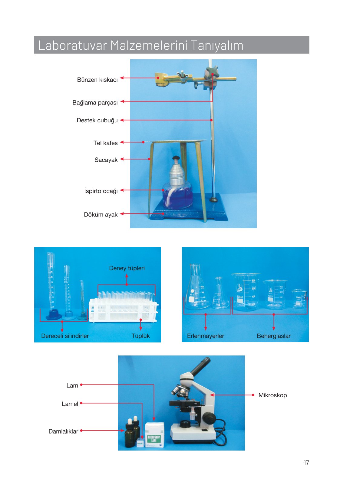 8. Sınıf Hecce Yayıncılık Fen Bilimleri Ders Kitabı Sayfa 17 Cevapları 8. Sınıf Hecce Yayıncılık Fen Bilimleri Ders Kitabı Sayfa 17 Cevapları