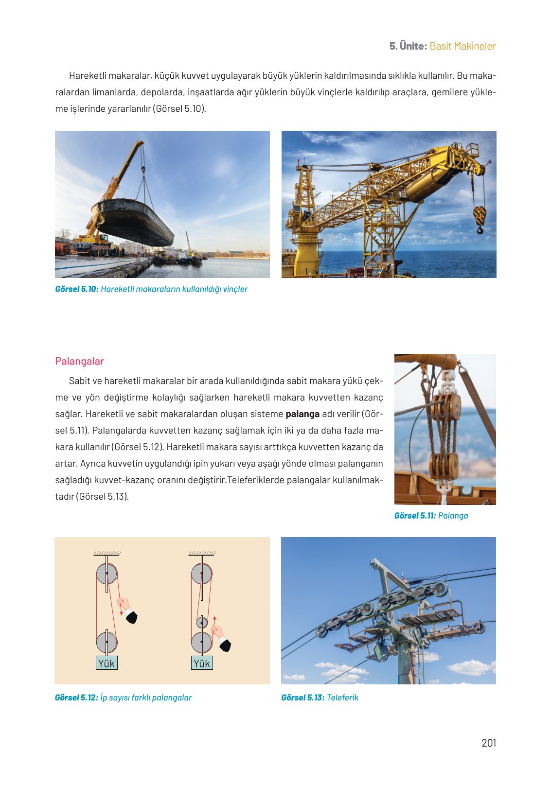 8. Sınıf Hecce Yayıncılık Fen Bilimleri Ders Kitabı Sayfa 201 Cevapları