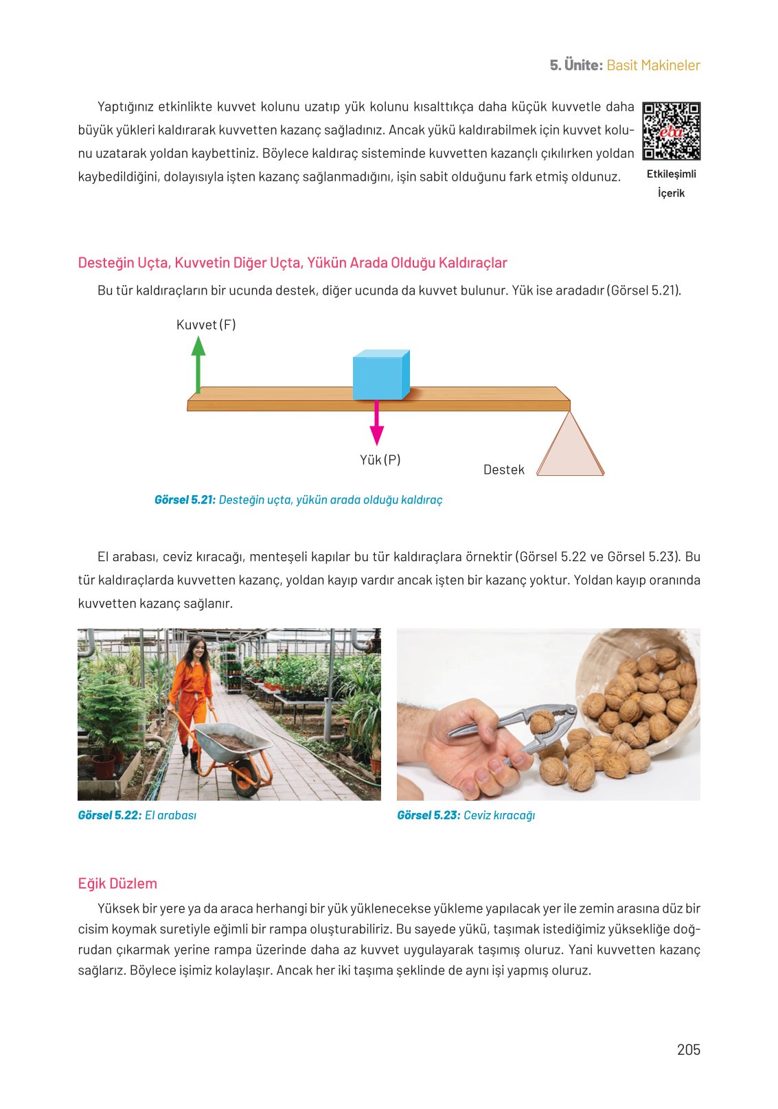 8. Sınıf Hecce Yayıncılık Fen Bilimleri Ders Kitabı Sayfa 205 Cevapları