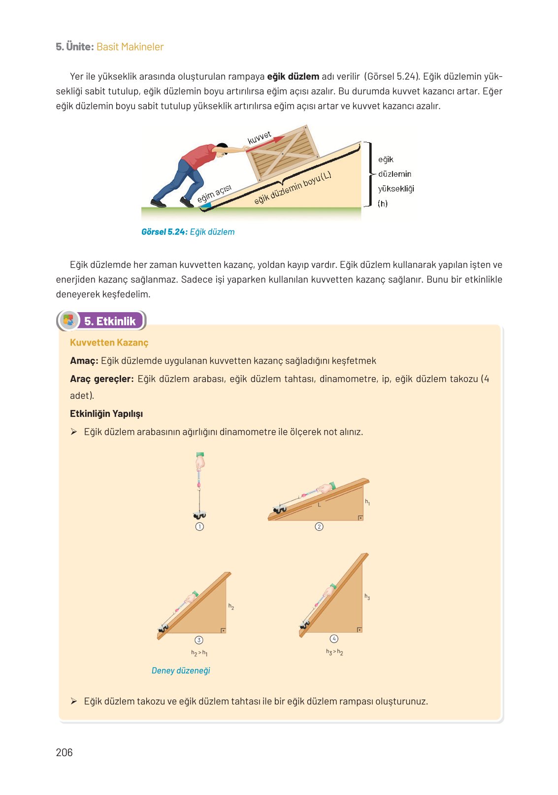 8. Sınıf Hecce Yayıncılık Fen Bilimleri Ders Kitabı Sayfa 206 Cevapları