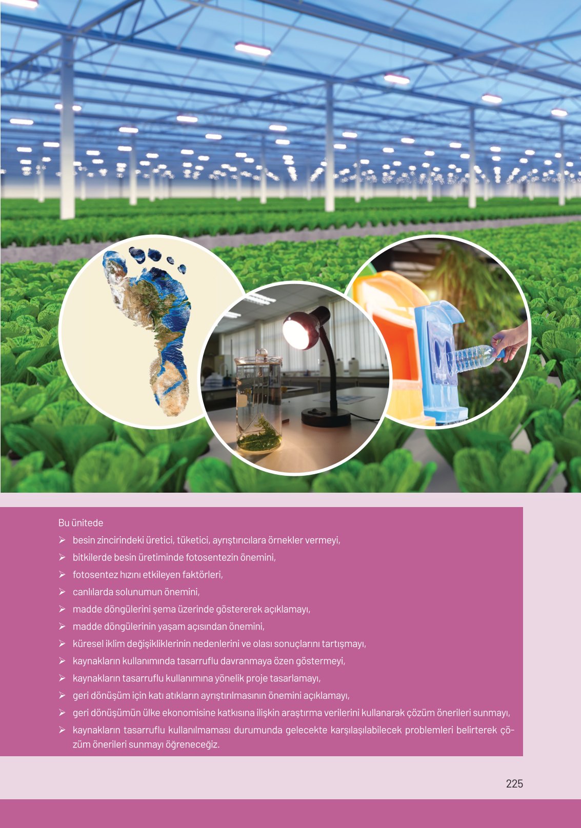 8. Sınıf Hecce Yayıncılık Fen Bilimleri Ders Kitabı Sayfa 225 Cevapları