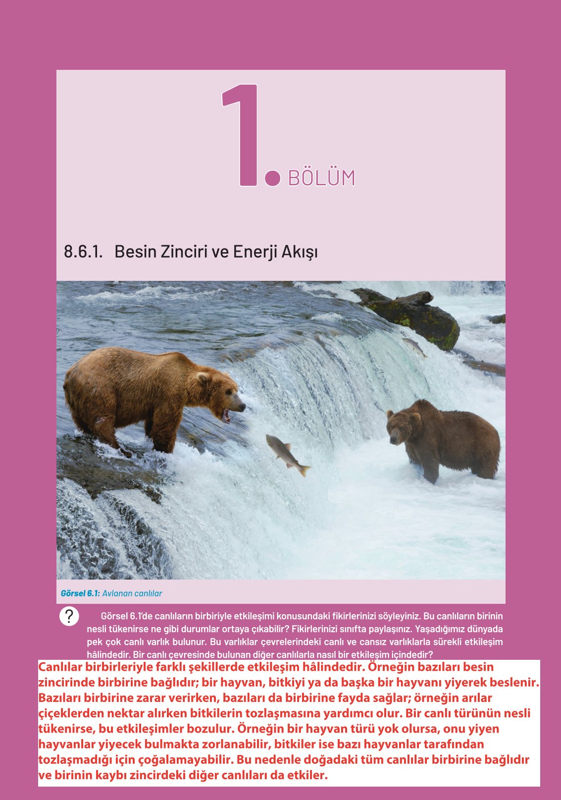 8. Sınıf Hecce Yayıncılık Fen Bilimleri Ders Kitabı Sayfa 226 Cevapları