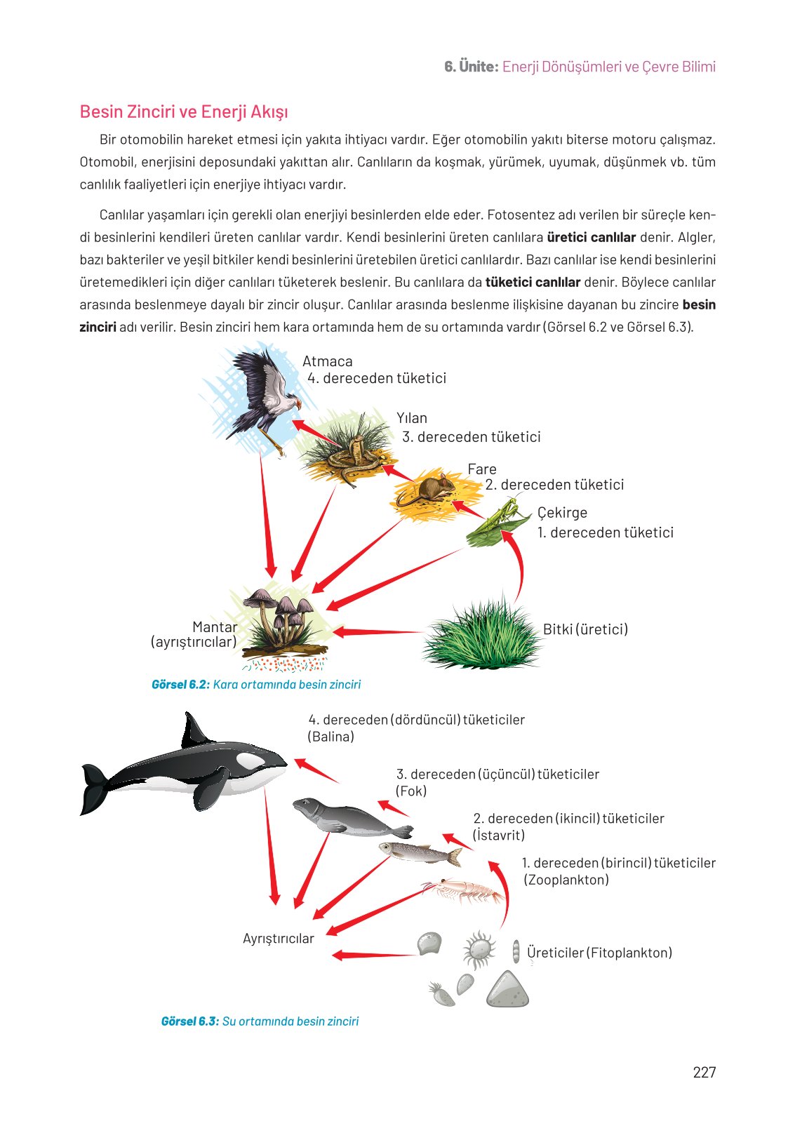 8. Sınıf Hecce Yayıncılık Fen Bilimleri Ders Kitabı Sayfa 227 Cevapları