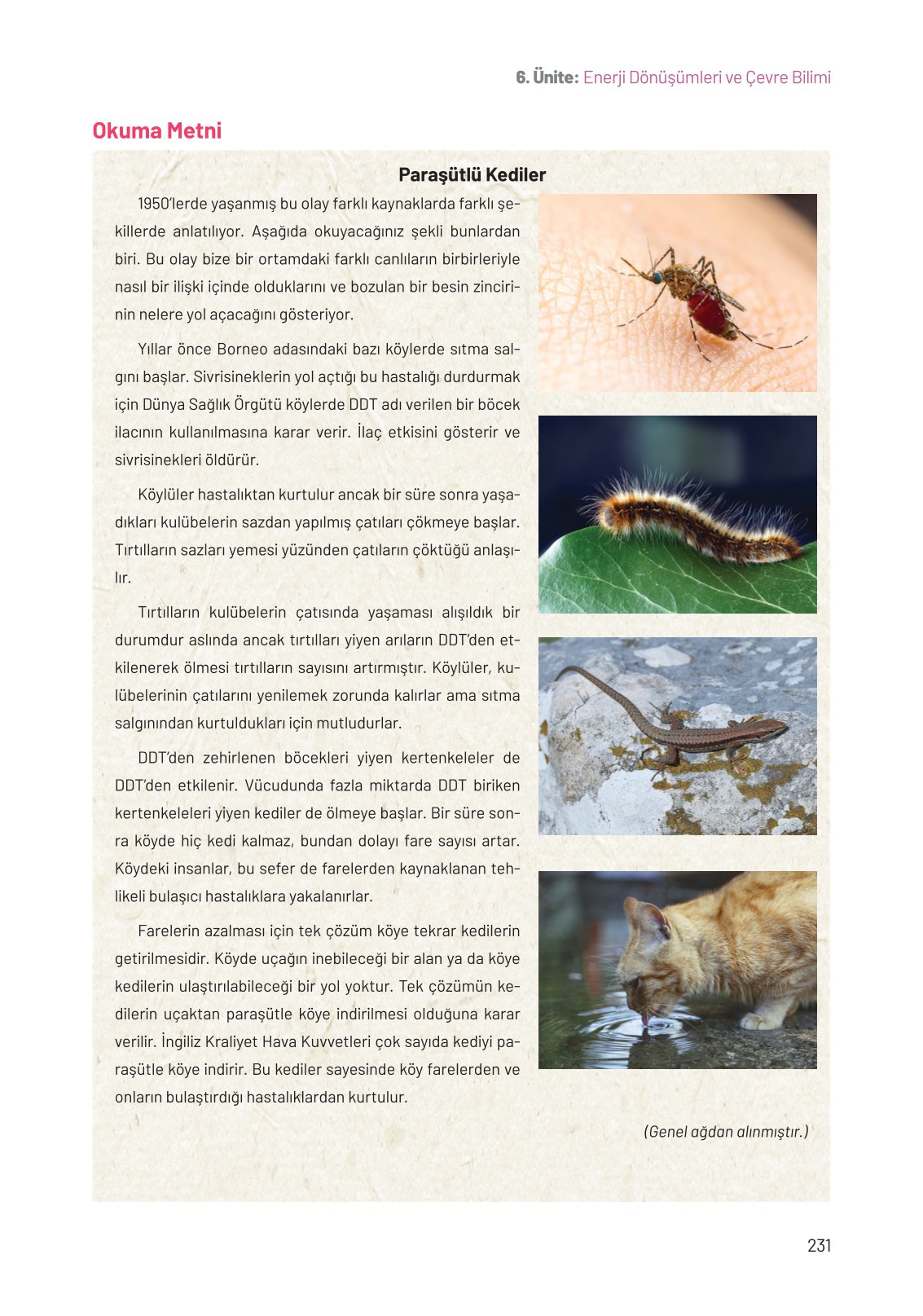 8. Sınıf Hecce Yayıncılık Fen Bilimleri Ders Kitabı Sayfa 231 Cevapları