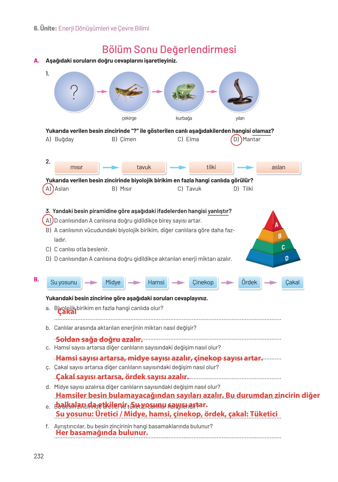 8. Sınıf Hecce Yayıncılık Fen Bilimleri Ders Kitabı Sayfa 232 Cevapları