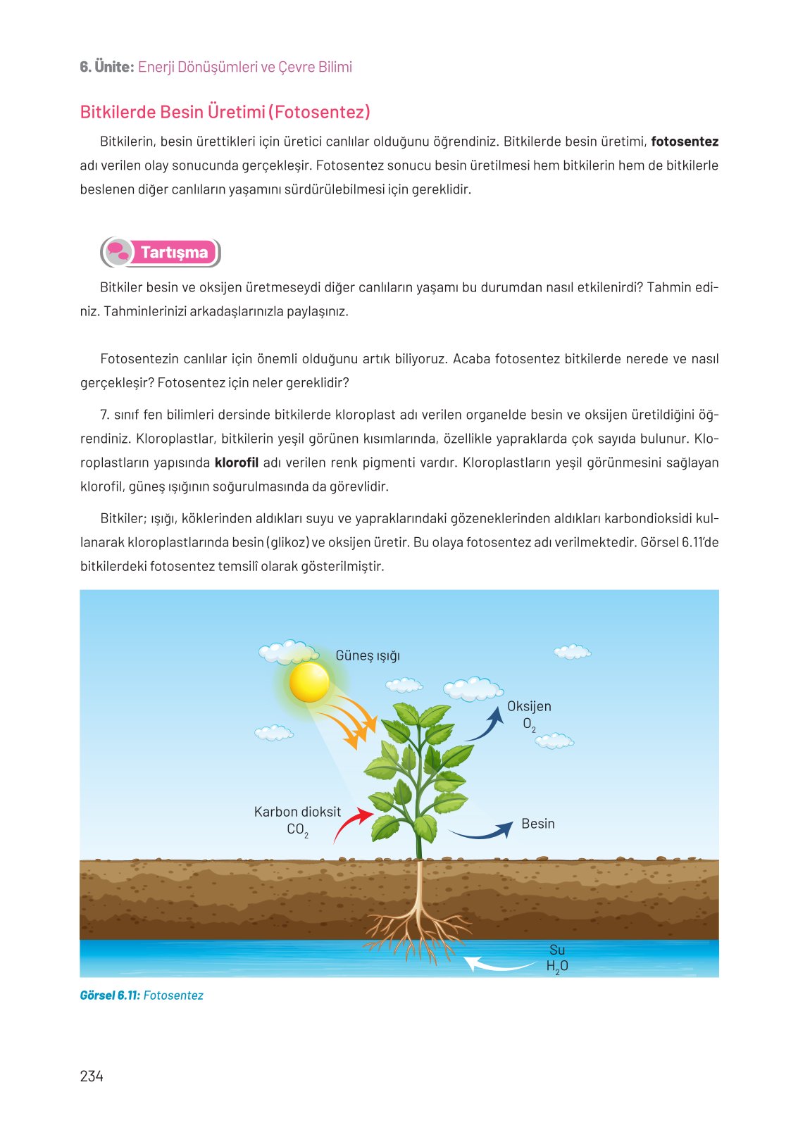 8. Sınıf Hecce Yayıncılık Fen Bilimleri Ders Kitabı Sayfa 234 Cevapları