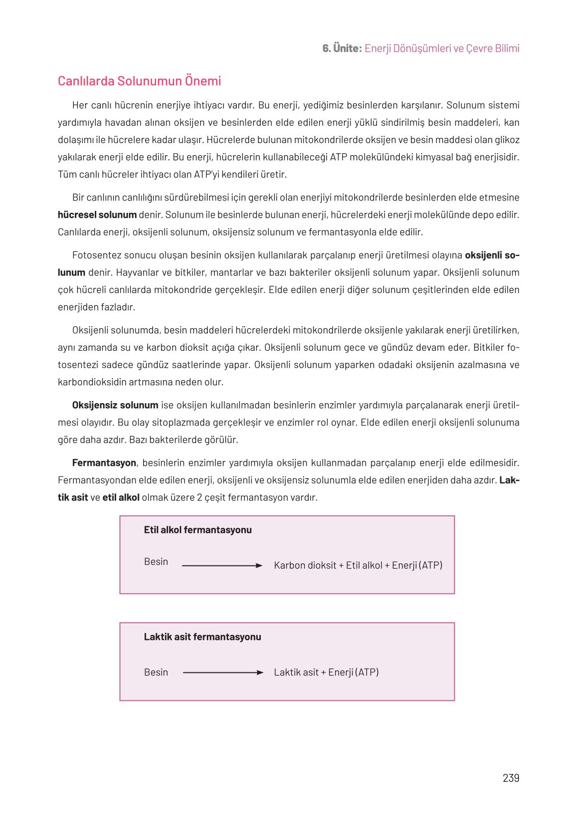 8. Sınıf Hecce Yayıncılık Fen Bilimleri Ders Kitabı Sayfa 239 Cevapları