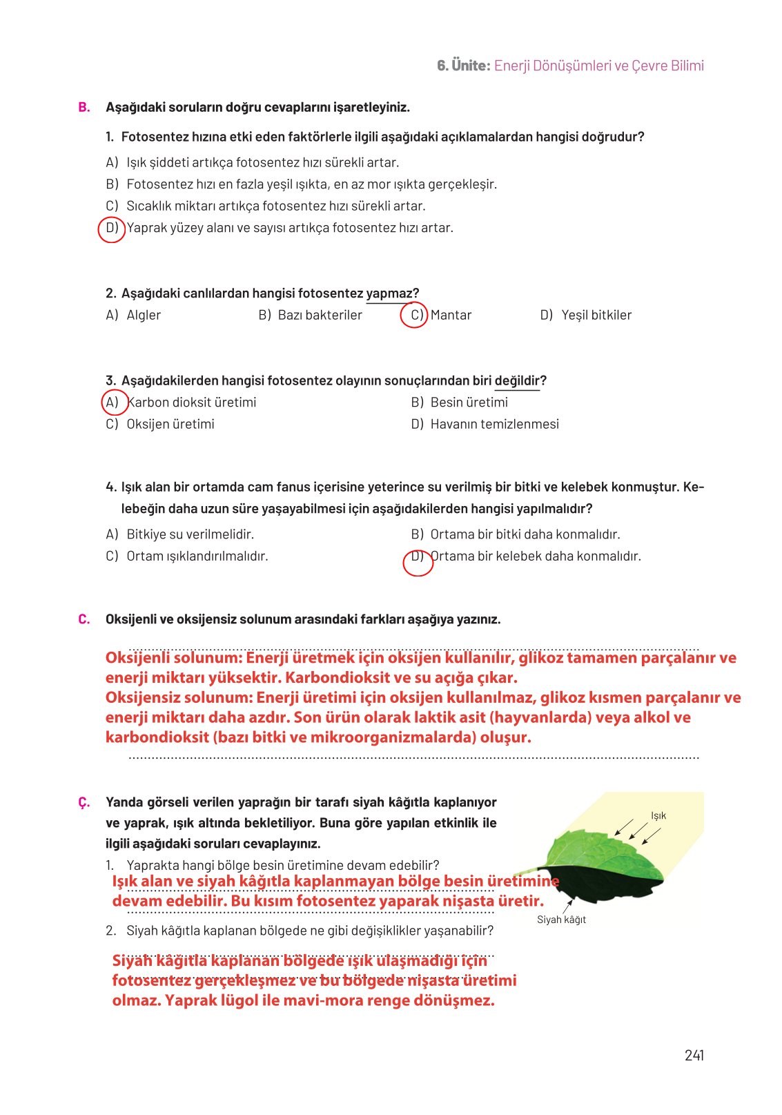 8. Sınıf Hecce Yayıncılık Fen Bilimleri Ders Kitabı Sayfa 241 Cevapları