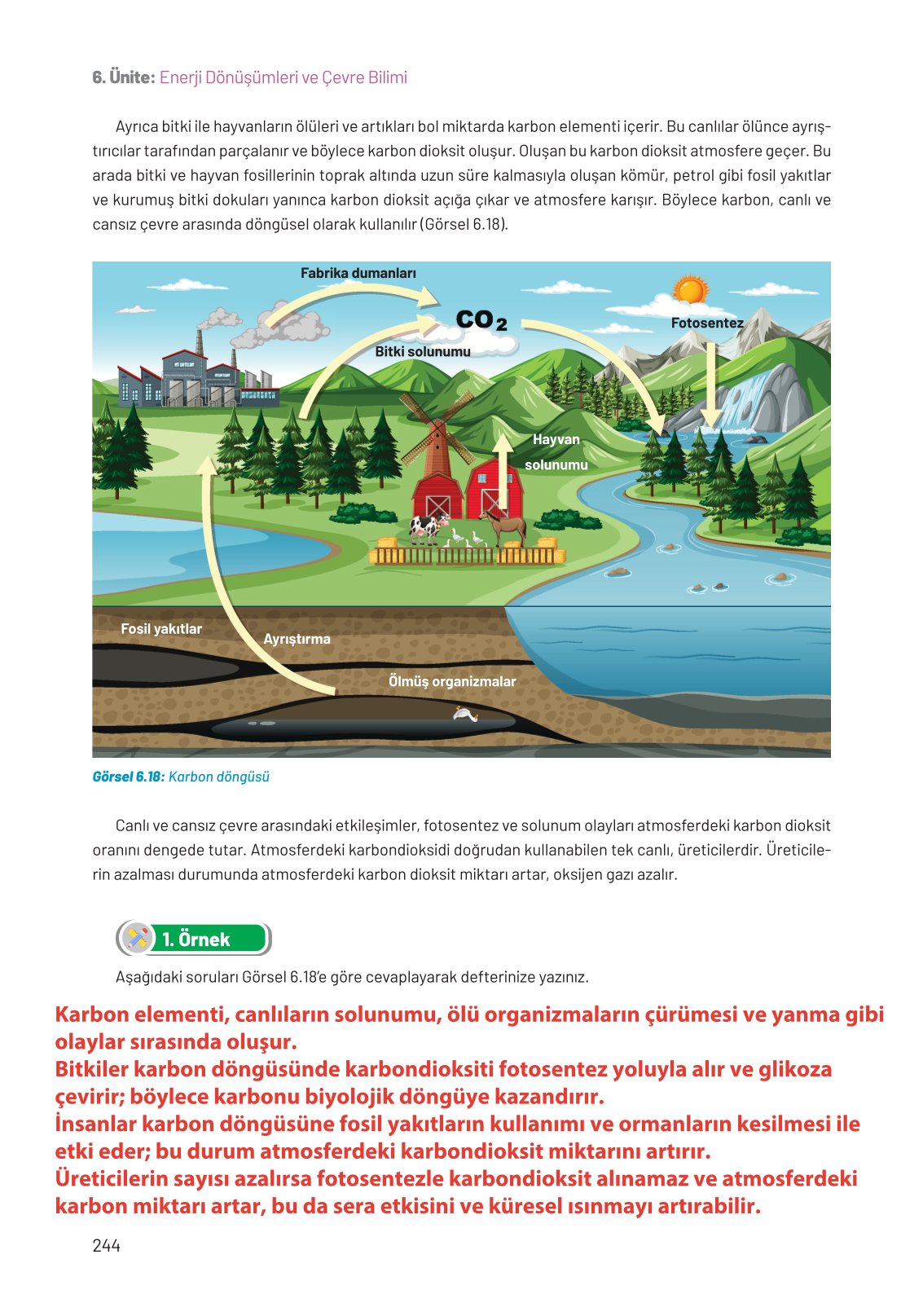 8. Sınıf Hecce Yayıncılık Fen Bilimleri Ders Kitabı Sayfa 244 Cevapları
