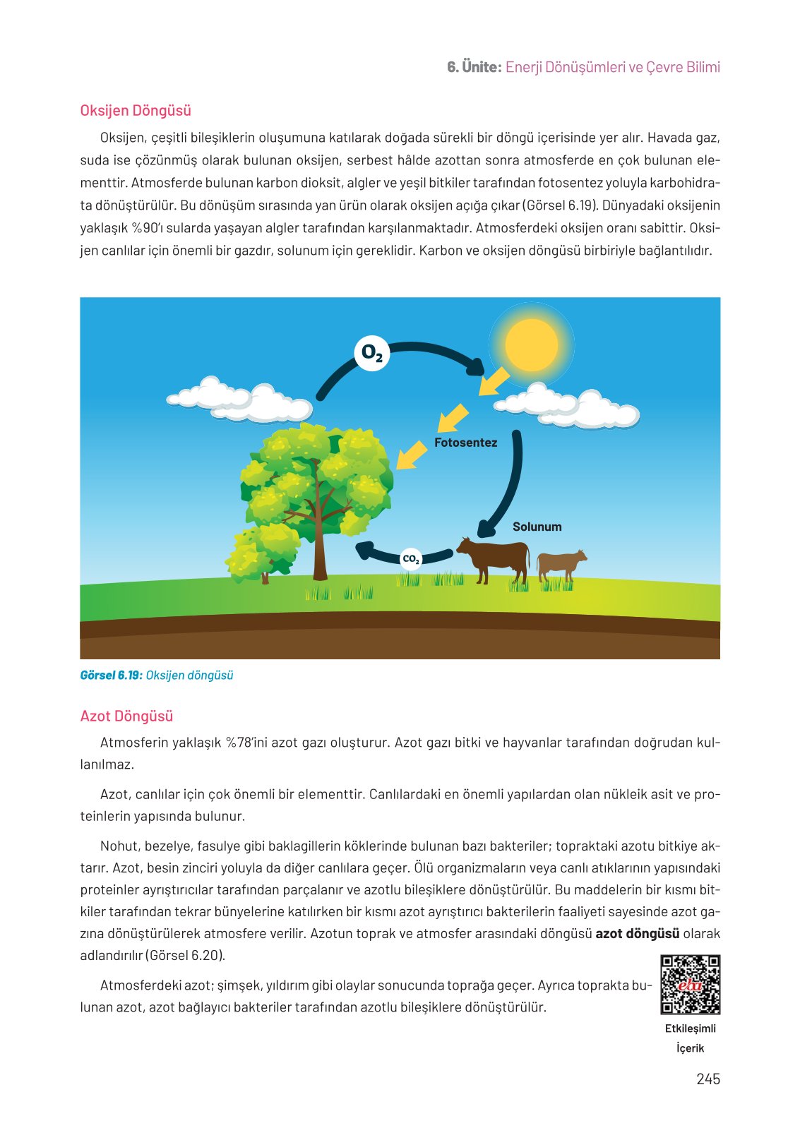 8. Sınıf Hecce Yayıncılık Fen Bilimleri Ders Kitabı Sayfa 245 Cevapları