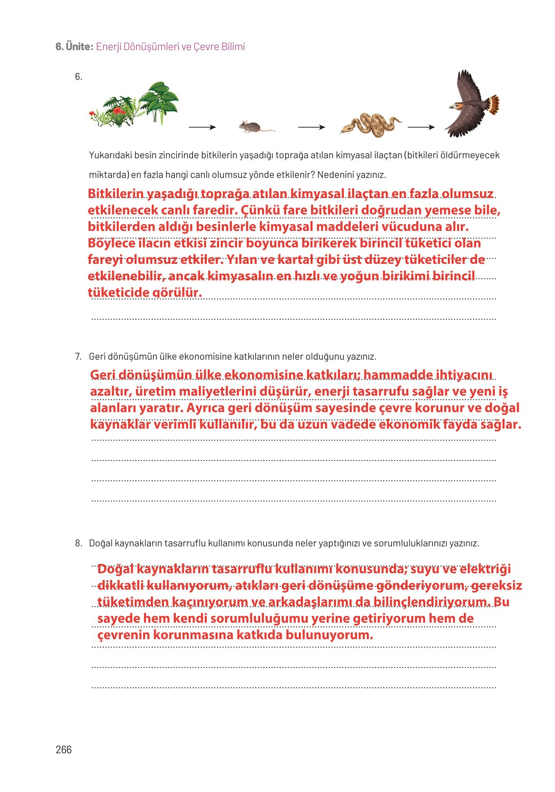 8. Sınıf Hecce Yayıncılık Fen Bilimleri Ders Kitabı Sayfa 266 Cevapları