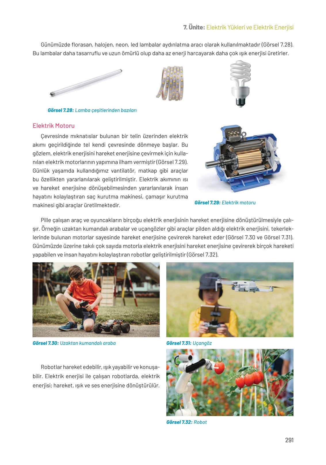 8. Sınıf Hecce Yayıncılık Fen Bilimleri Ders Kitabı Sayfa 291 Cevapları