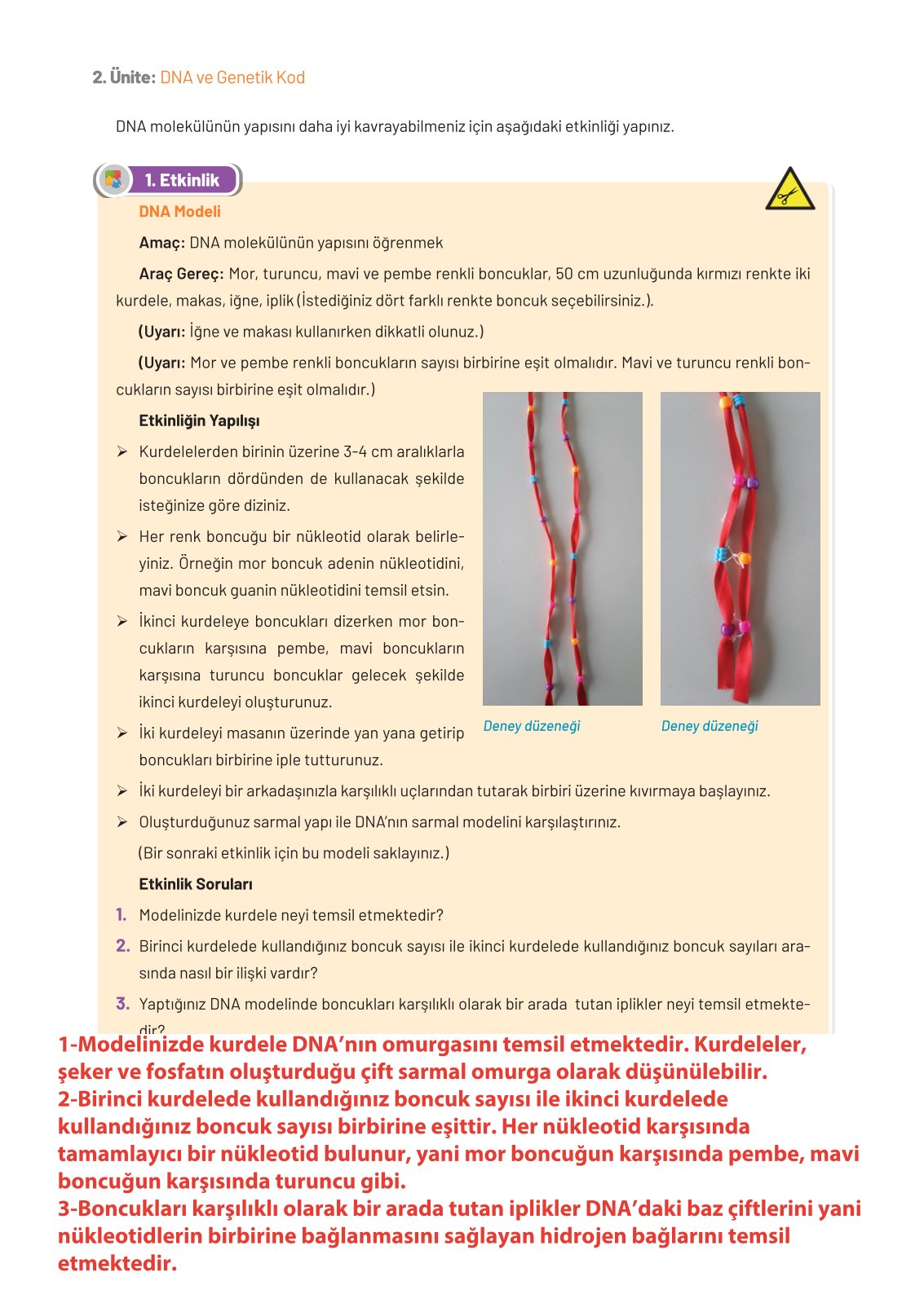 8. Sınıf Hecce Yayıncılık Fen Bilimleri Ders Kitabı Sayfa 56 Cevapları