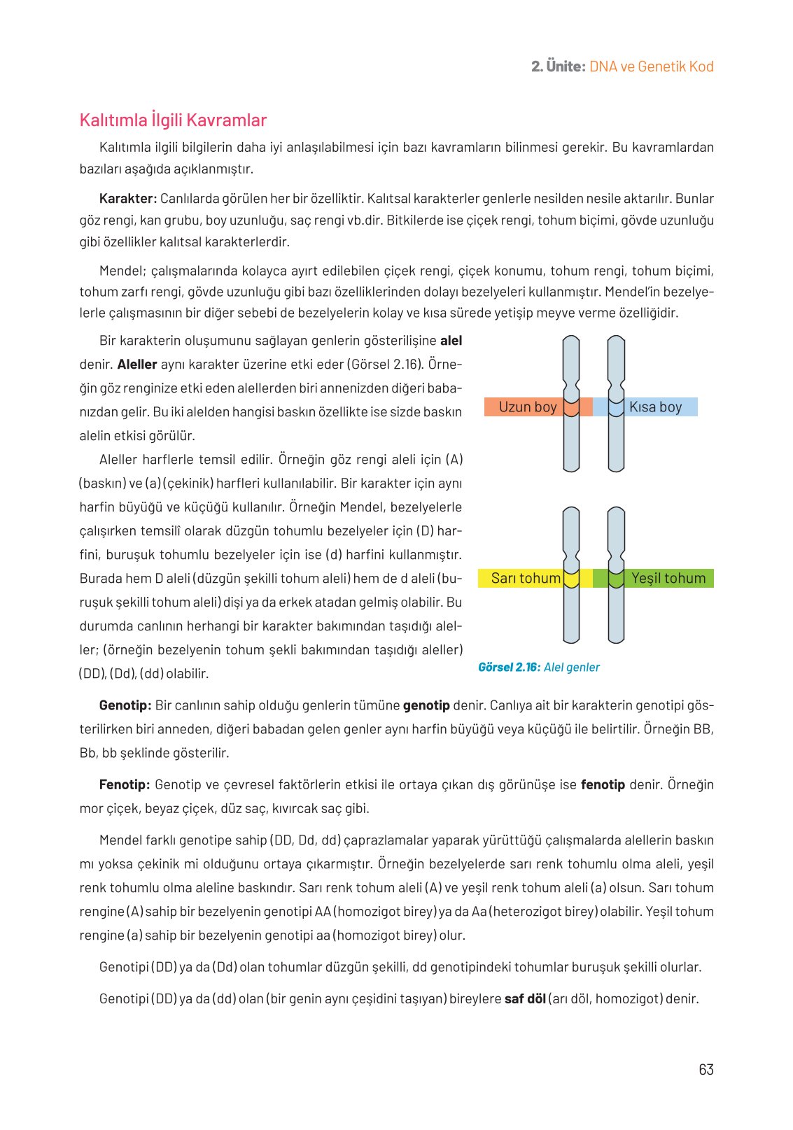 8. Sınıf Hecce Yayıncılık Fen Bilimleri Ders Kitabı Sayfa 63 Cevapları