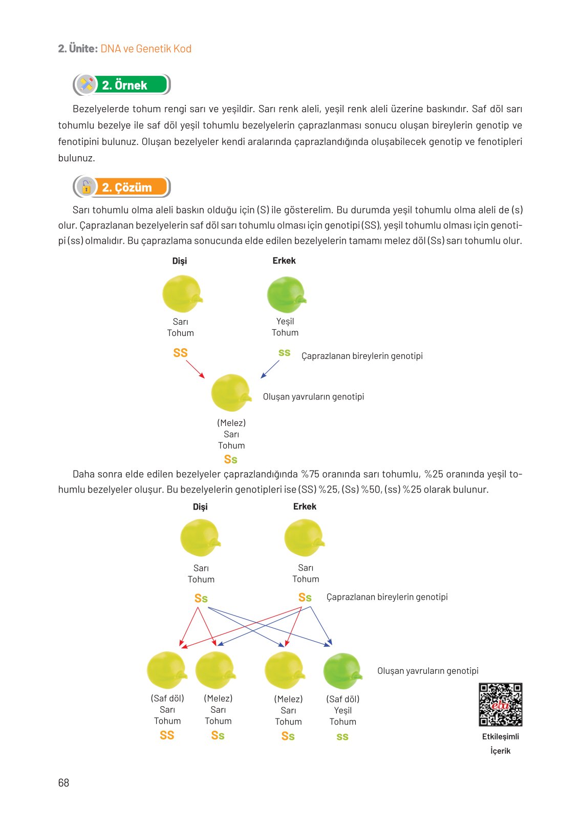 8. Sınıf Hecce Yayıncılık Fen Bilimleri Ders Kitabı Sayfa 68 Cevapları