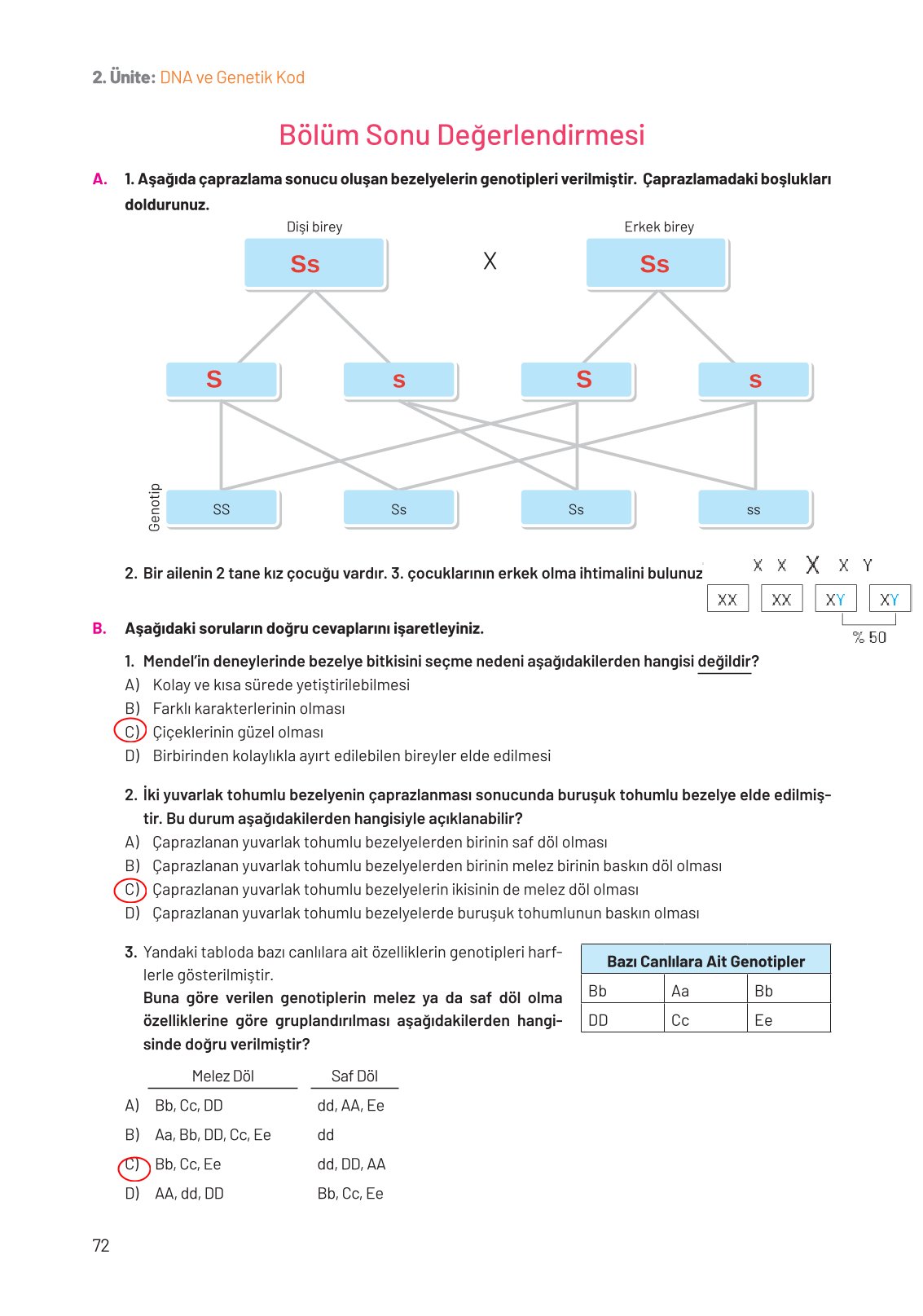 8. Sınıf Hecce Yayıncılık Fen Bilimleri Ders Kitabı Sayfa 72 Cevapları