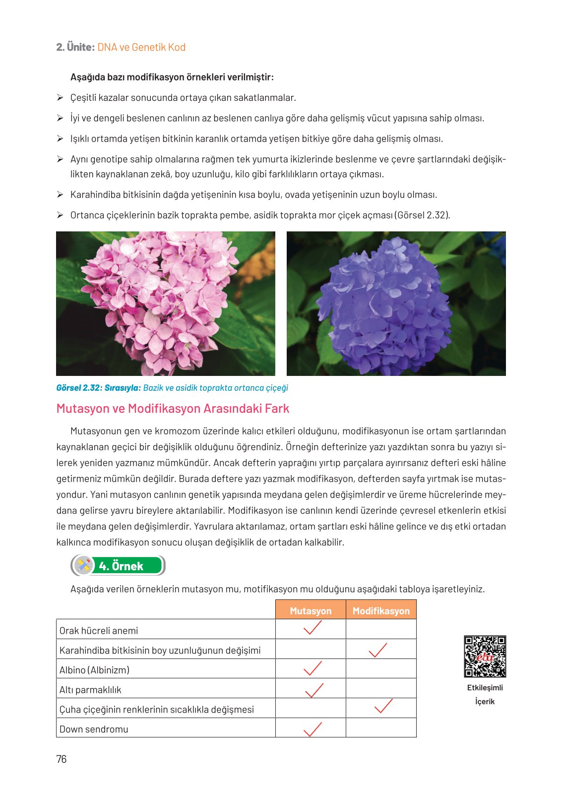 8. Sınıf Hecce Yayıncılık Fen Bilimleri Ders Kitabı Sayfa 76 Cevapları