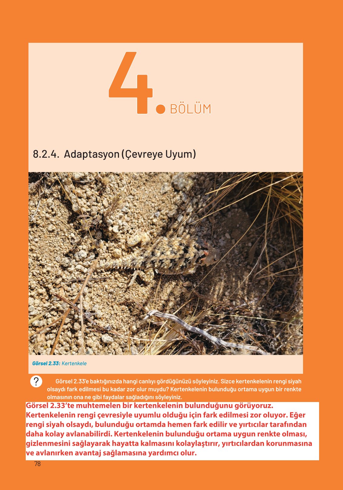 8. Sınıf Hecce Yayıncılık Fen Bilimleri Ders Kitabı Sayfa 78 Cevapları