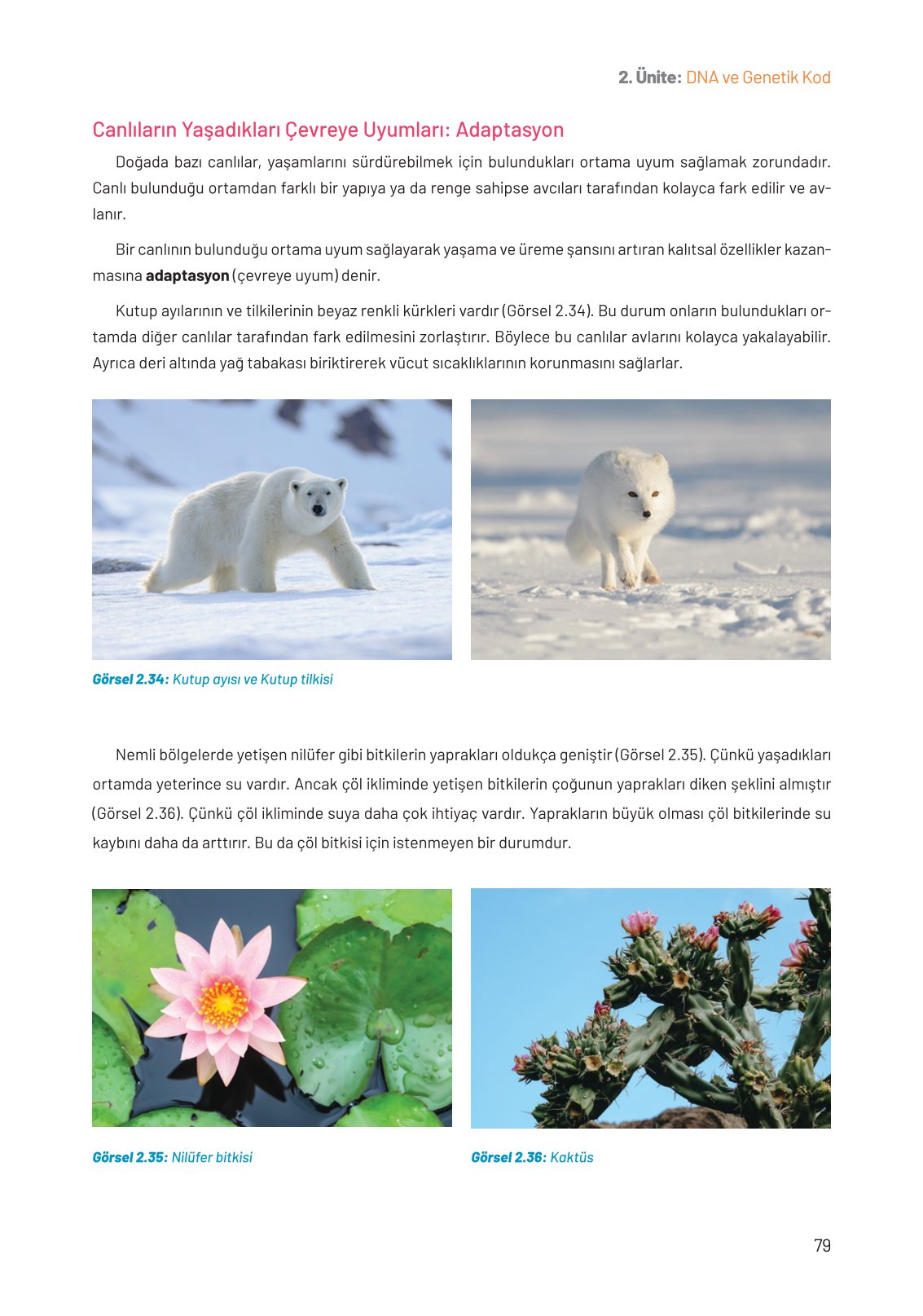 8. Sınıf Hecce Yayıncılık Fen Bilimleri Ders Kitabı Sayfa 79 Cevapları