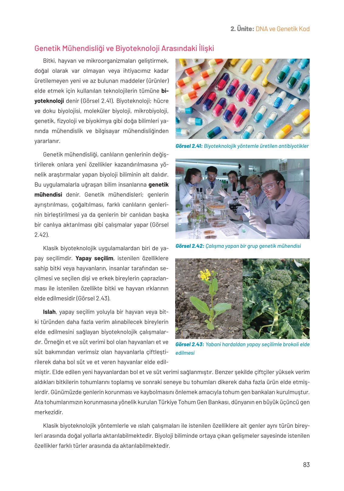 8. Sınıf Hecce Yayıncılık Fen Bilimleri Ders Kitabı Sayfa 83 Cevapları