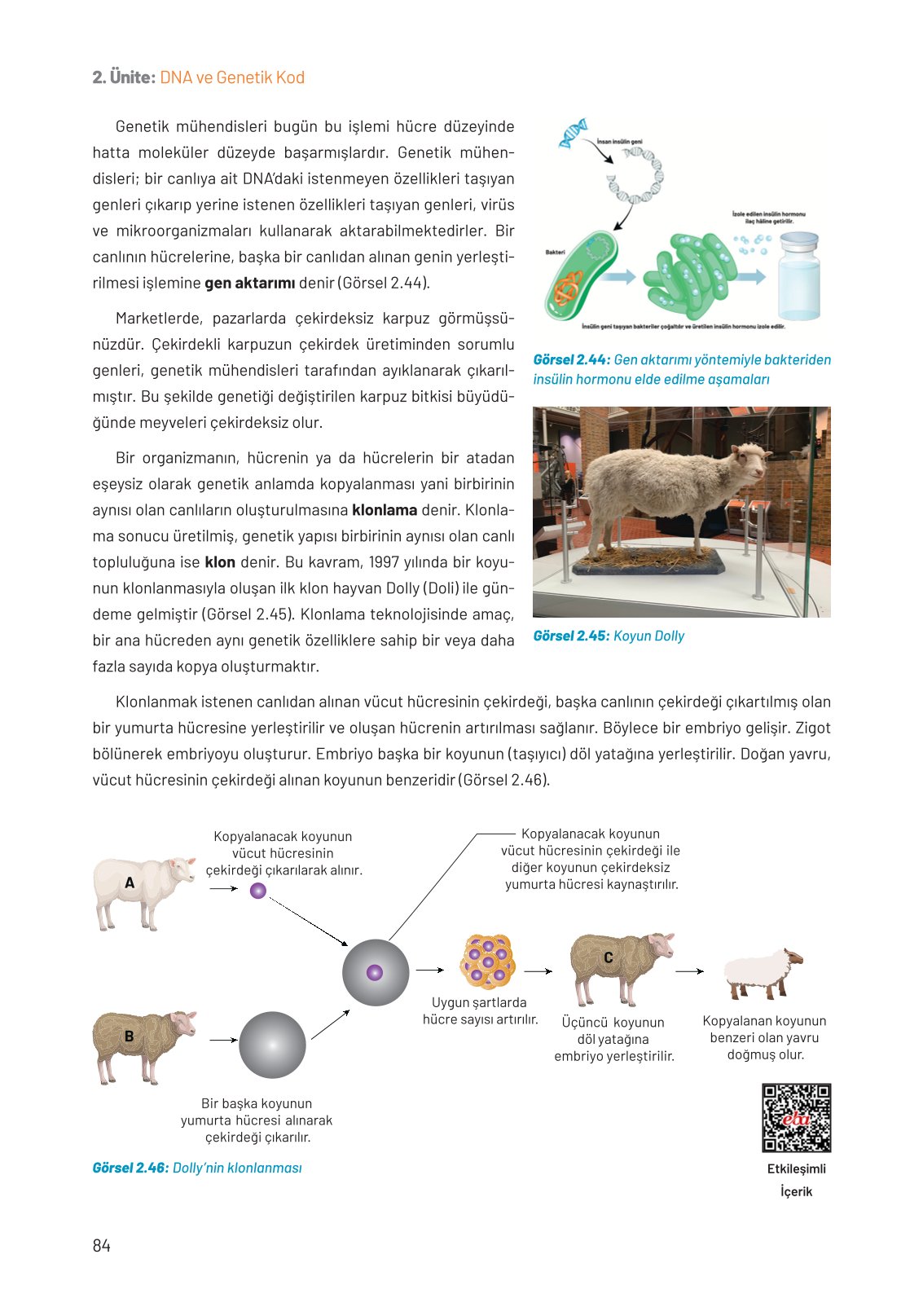 8. Sınıf Hecce Yayıncılık Fen Bilimleri Ders Kitabı Sayfa 84 Cevapları