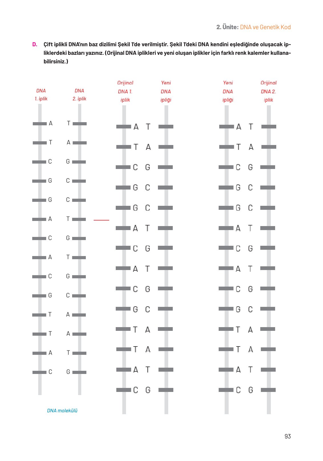 8. Sınıf Hecce Yayıncılık Fen Bilimleri Ders Kitabı Sayfa 93 Cevapları