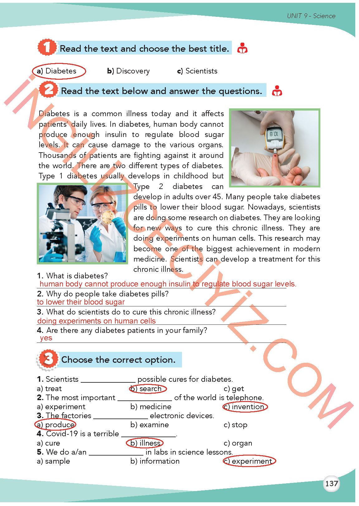 8. Sınıf İngilizce Meb Yayınları Kitabı Sayfa 137 Cevapları 8. Sınıf İngilizce Meb Yayınları Kitabı Sayfa 137 Cevapları