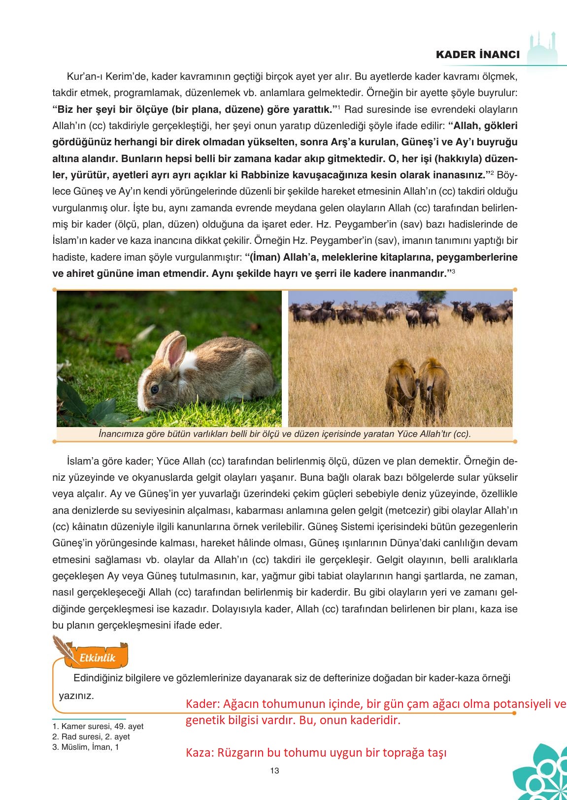 8. Sınıf Sdr İpekyolu Yayıncılık Din Kültürü Ve Ahlak Bilgisi Ders Kitabı Sayfa 14 Cevapları