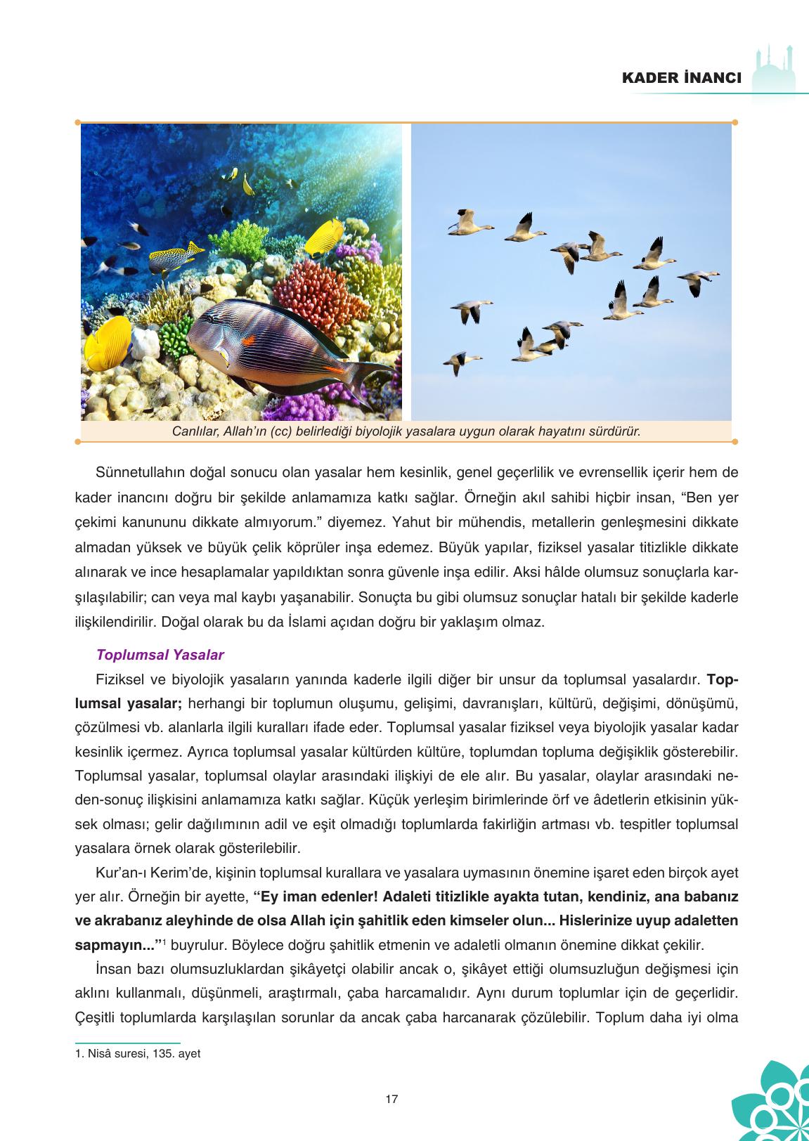 8. Sınıf Sdr İpekyolu Yayıncılık Din Kültürü Ve Ahlak Bilgisi Ders Kitabı Sayfa 18 Cevapları