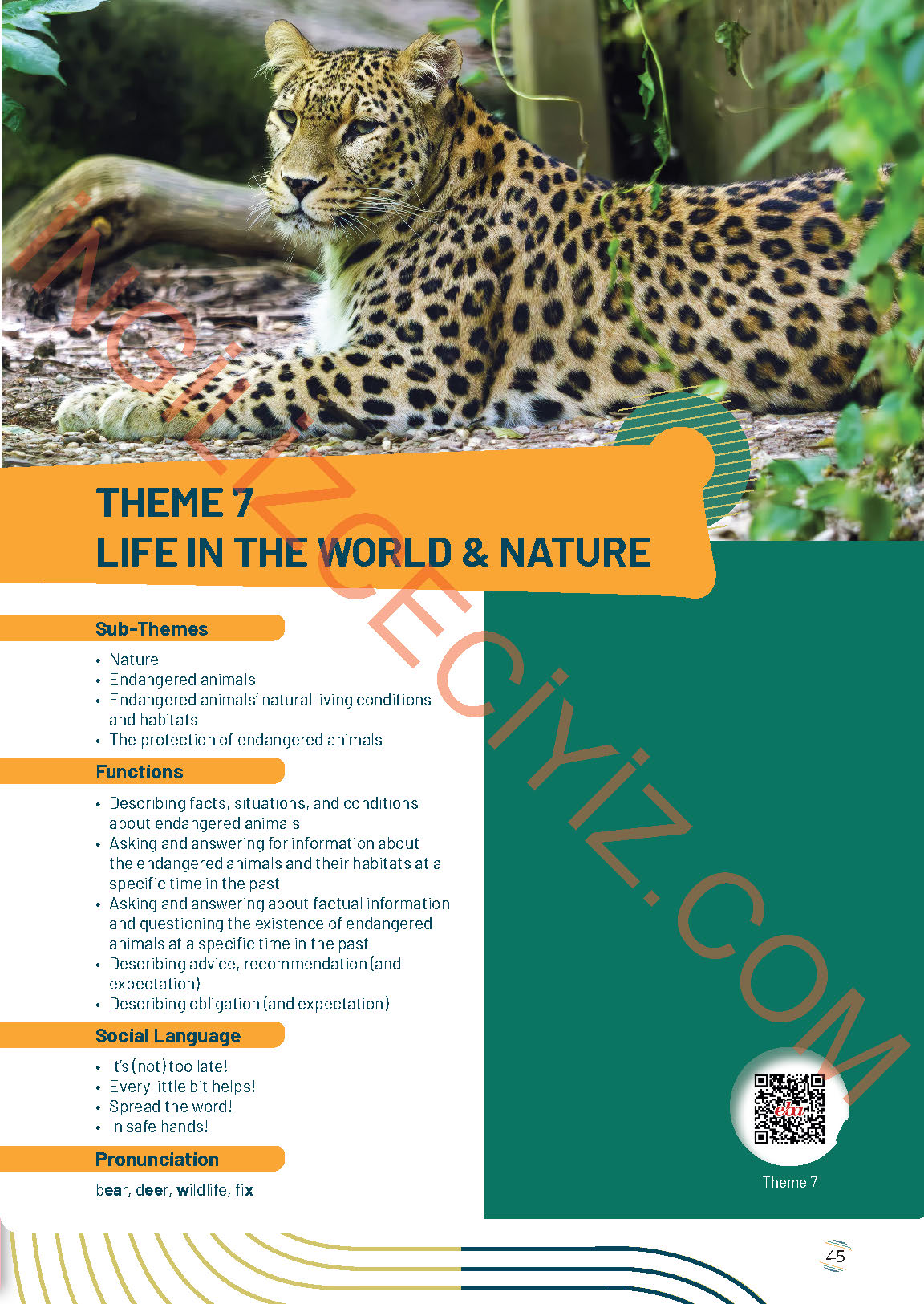 9. Sınıf İngilizce Meb Yayınları Çalışma Kitabı Sayfa 45 Cevapları