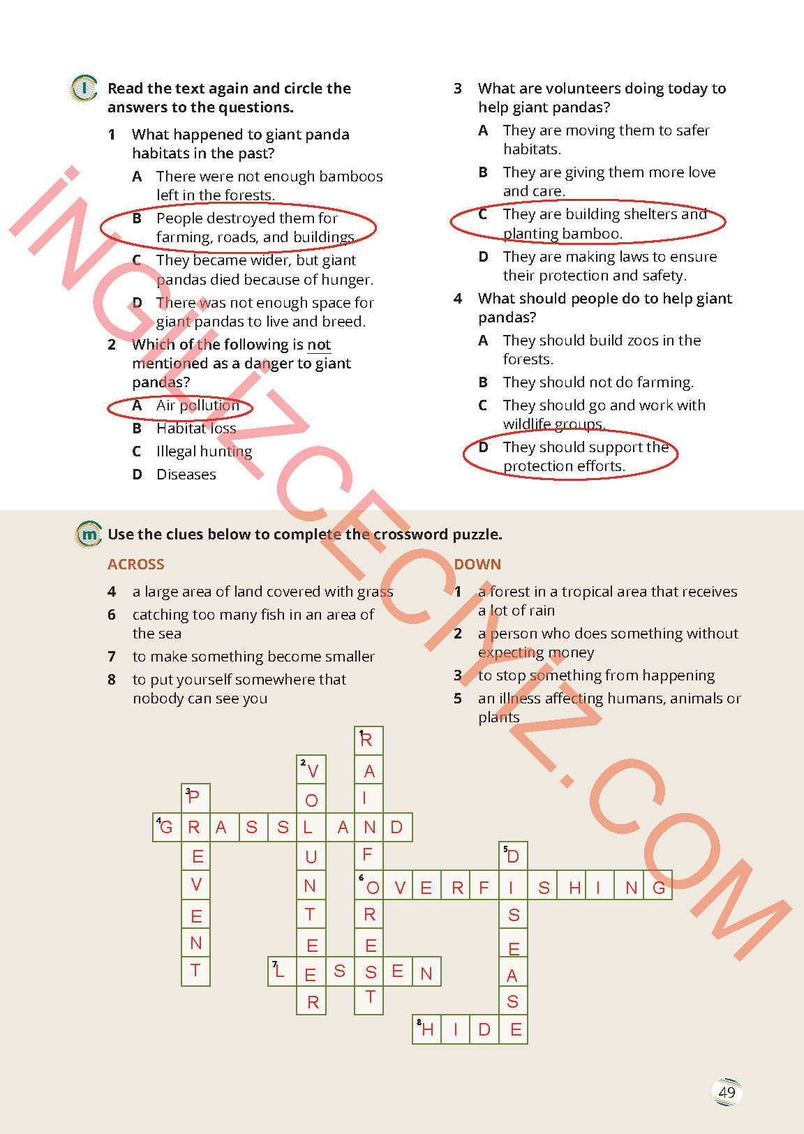 9. Sınıf İngilizce Meb Yayınları Çalışma Kitabı Sayfa 49 Cevapları