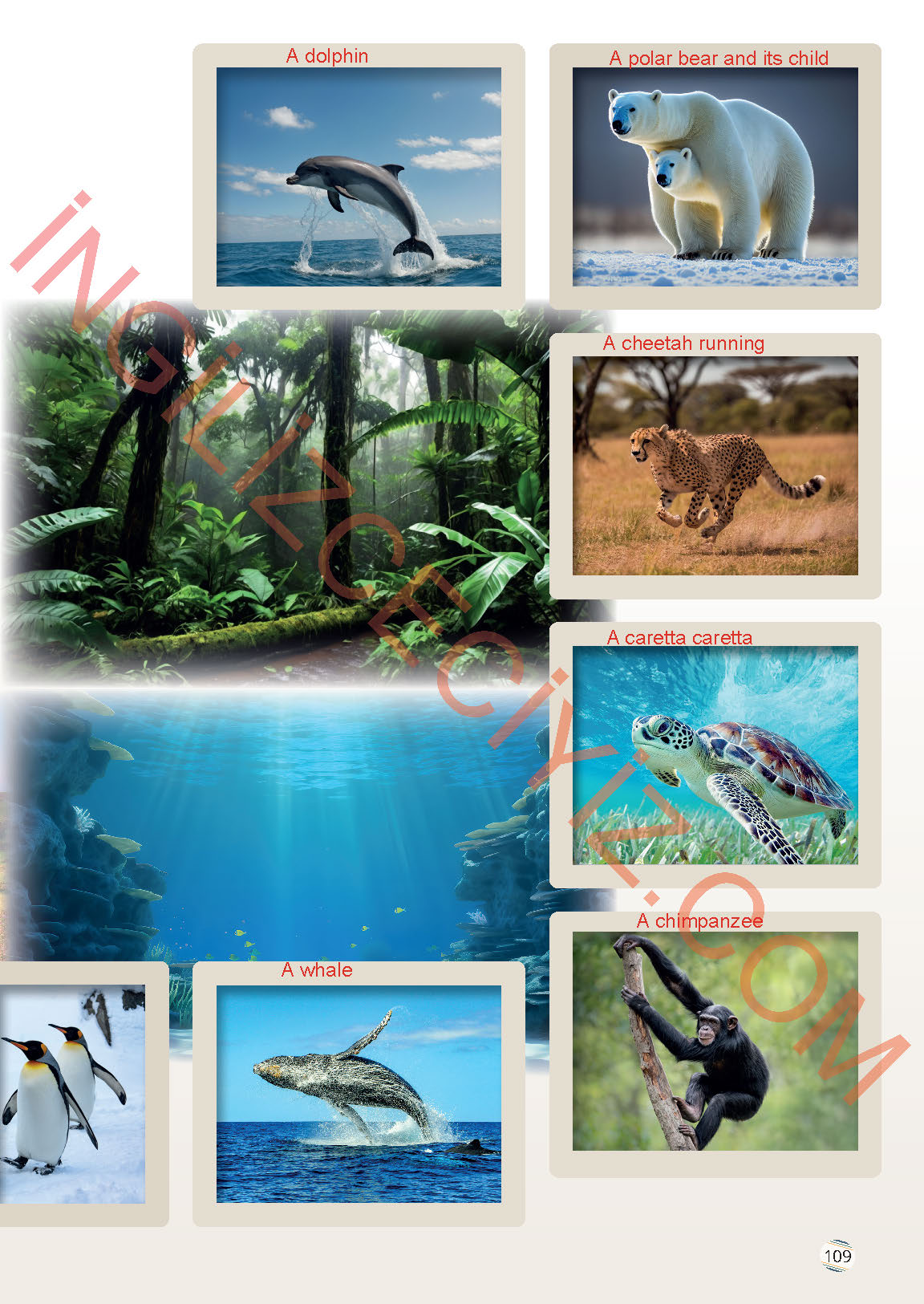 9. Sınıf İngilizce Meb Yayınları Ders Kitabı Sayfa 109 Cevapları 9. Sınıf İngilizce Meb Yayınları Ders Kitabı Sayfa 109 Cevapları