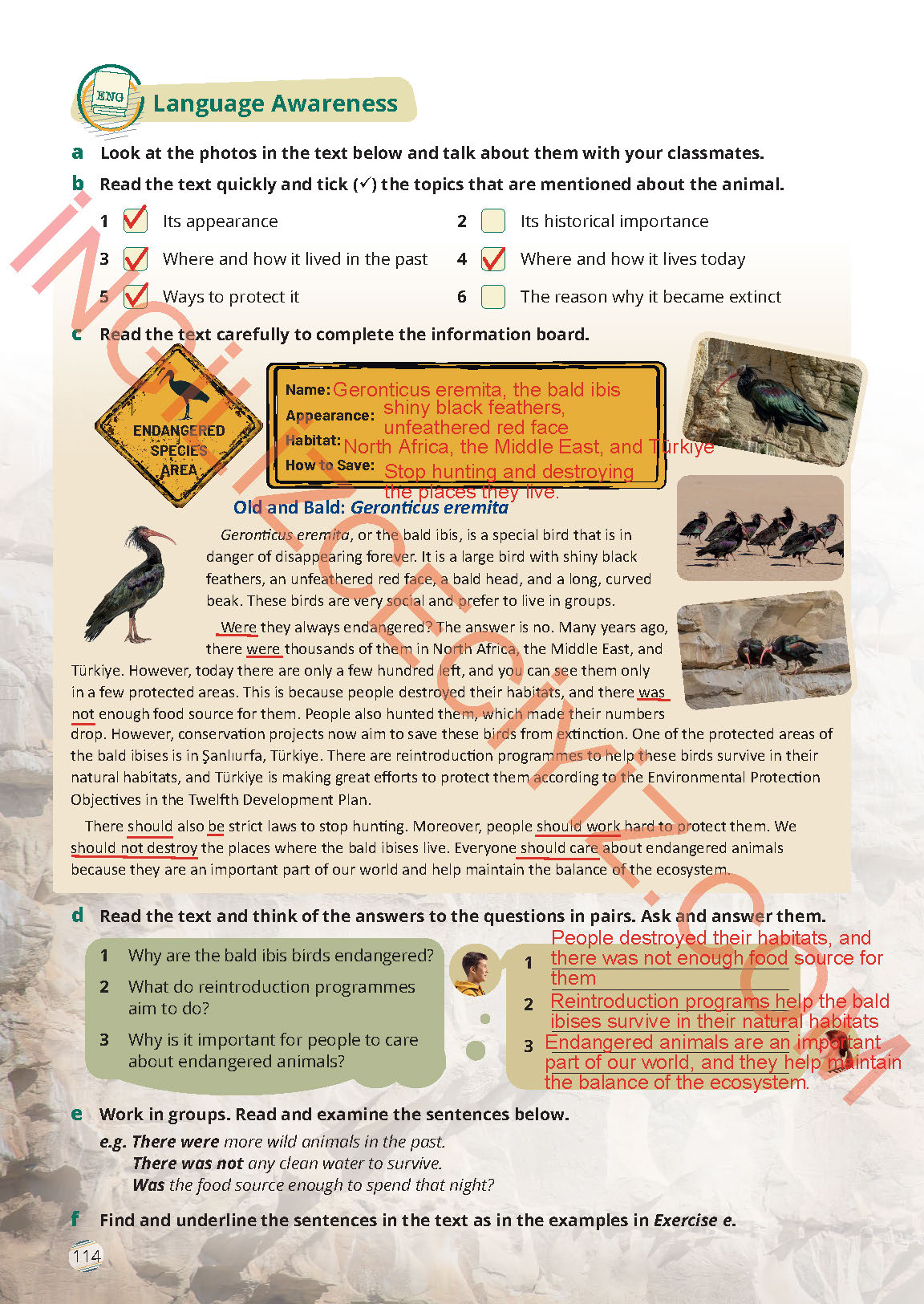 9. Sınıf İngilizce Meb Yayınları Ders Kitabı Sayfa 114 Cevapları 9. Sınıf İngilizce Meb Yayınları Ders Kitabı Sayfa 114 Cevapları