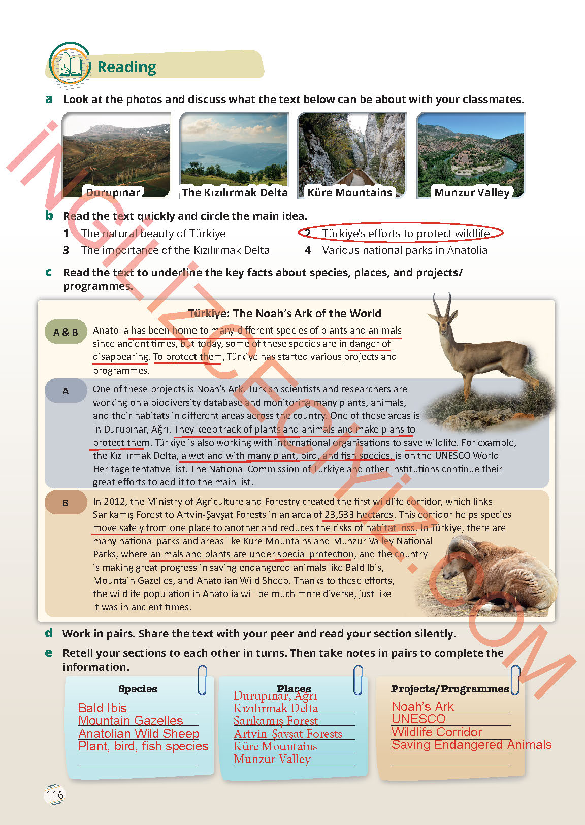 9. Sınıf İngilizce Meb Yayınları Ders Kitabı Sayfa 116 Cevapları 9. Sınıf İngilizce Meb Yayınları Ders Kitabı Sayfa 116 Cevapları