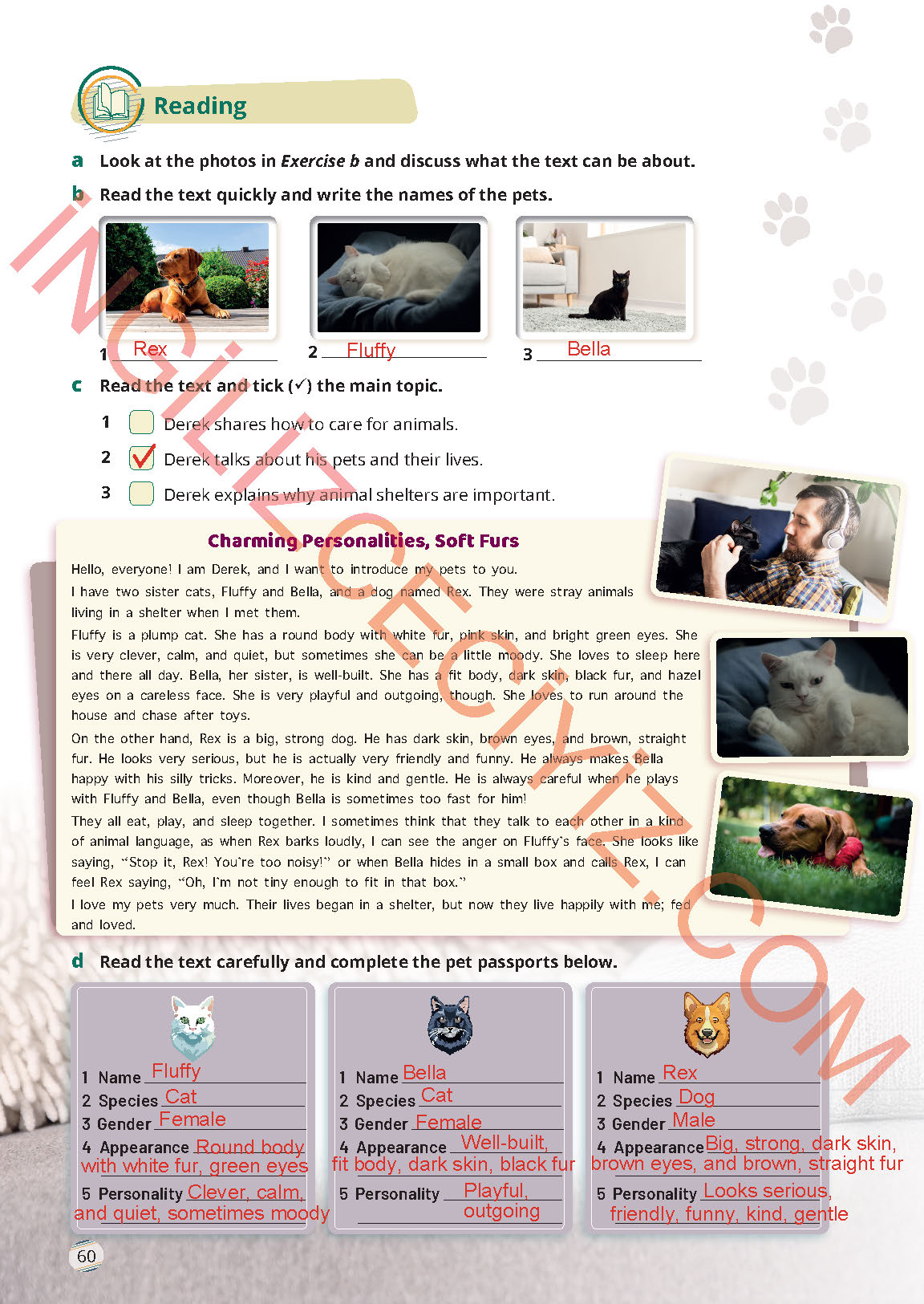 9. Sınıf İngilizce Meb Yayınları Ders Kitabı Sayfa 60 Cevapları