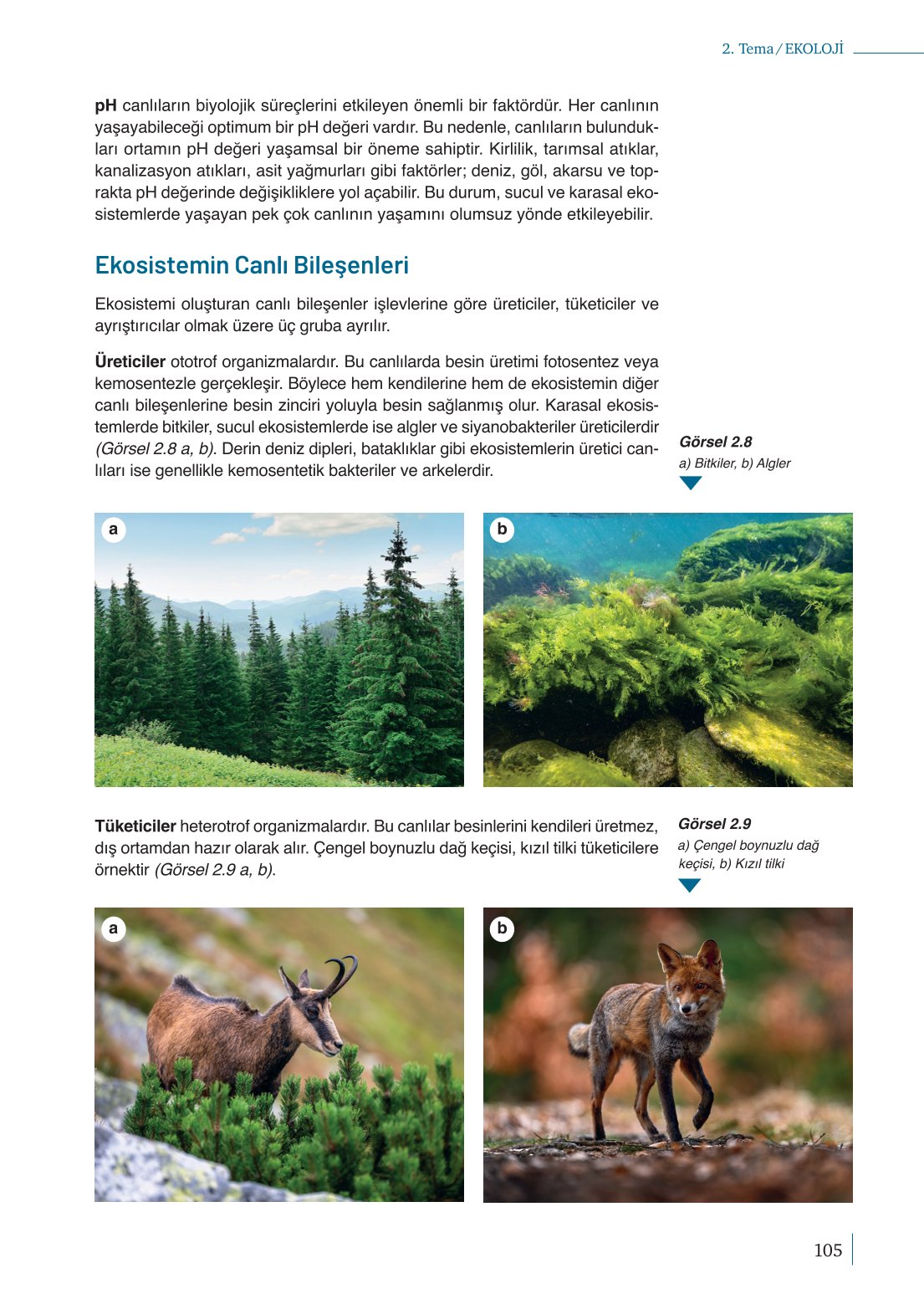 10. Sınıf Meb Yayınları Biyoloji Ders Kitabı Sayfa 105 Cevapları