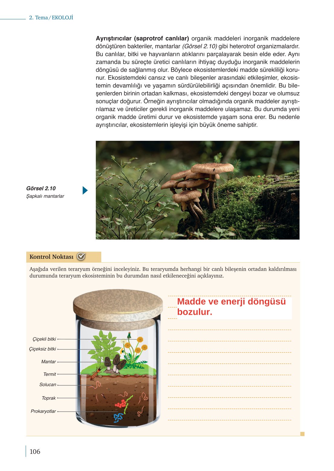 10. Sınıf Meb Yayınları Biyoloji Ders Kitabı Sayfa 106 Cevapları