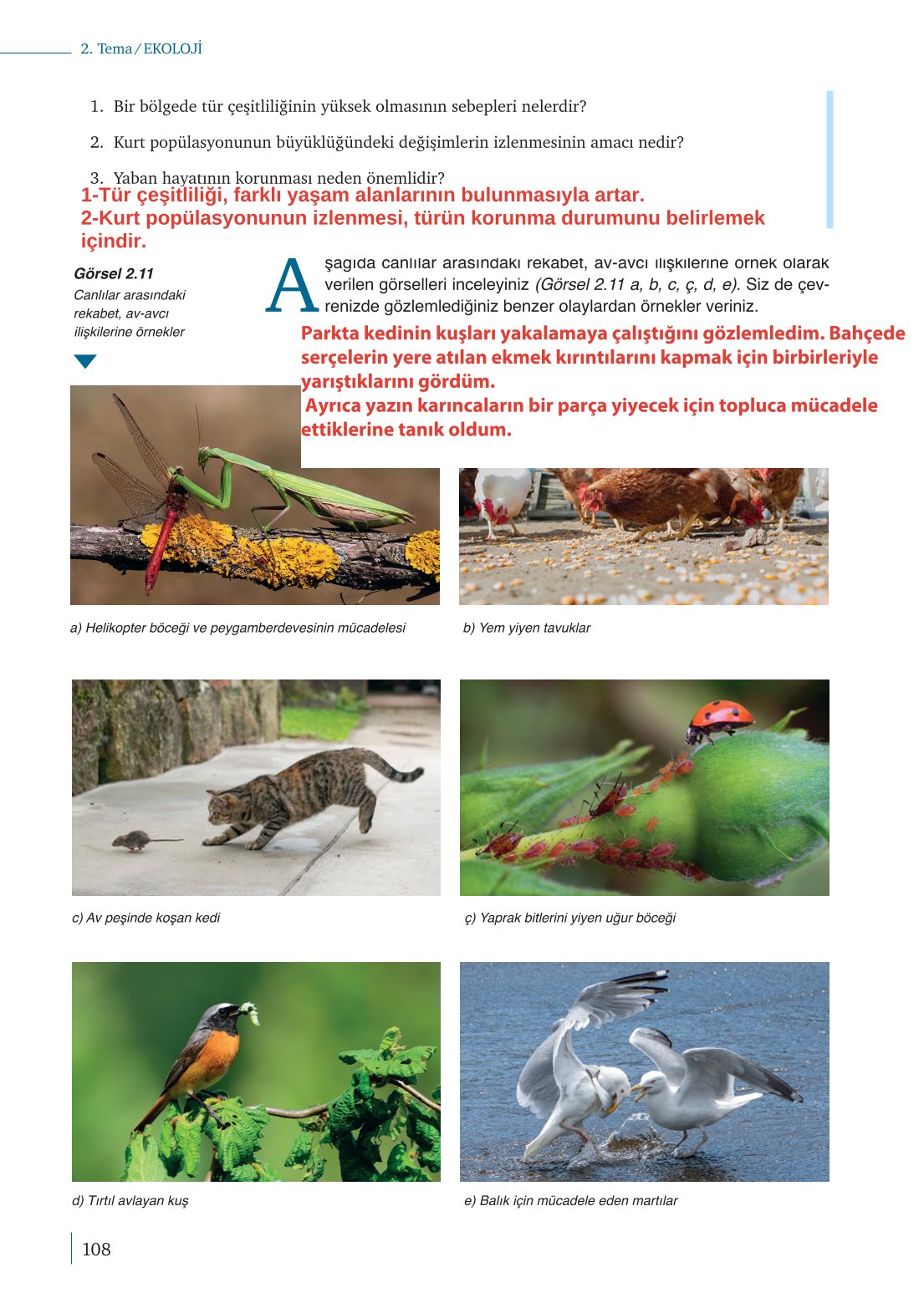 10. Sınıf Meb Yayınları Biyoloji Ders Kitabı Sayfa 108 Cevapları