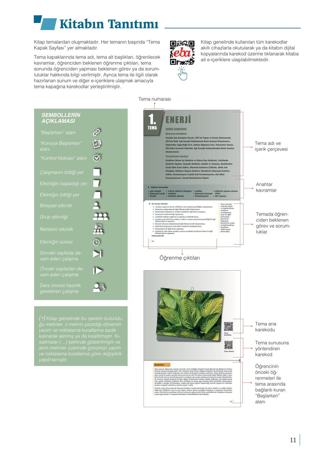 10. Sınıf Meb Yayınları Biyoloji Ders Kitabı Sayfa 11 Cevapları