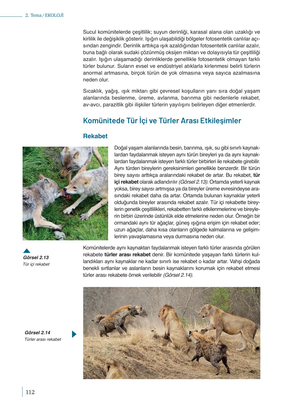 10. Sınıf Meb Yayınları Biyoloji Ders Kitabı Sayfa 112 Cevapları