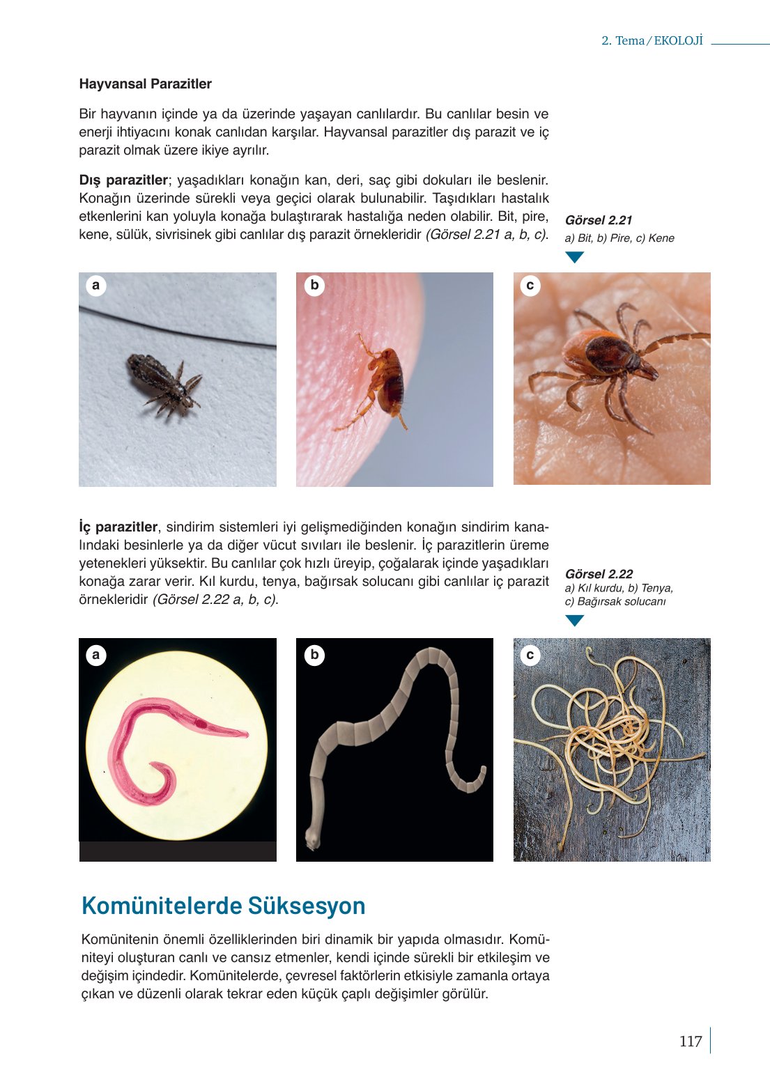 10. Sınıf Meb Yayınları Biyoloji Ders Kitabı Sayfa 117 Cevapları