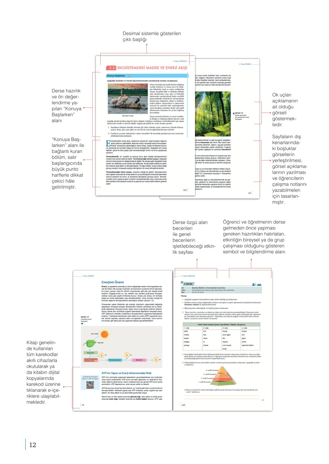 10. Sınıf Meb Yayınları Biyoloji Ders Kitabı Sayfa 12 Cevapları