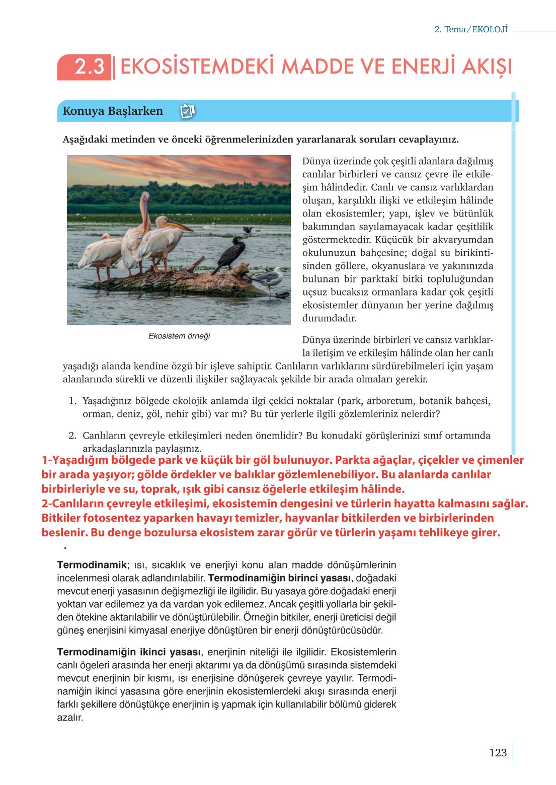 10. Sınıf Meb Yayınları Biyoloji Ders Kitabı Sayfa 123 Cevapları