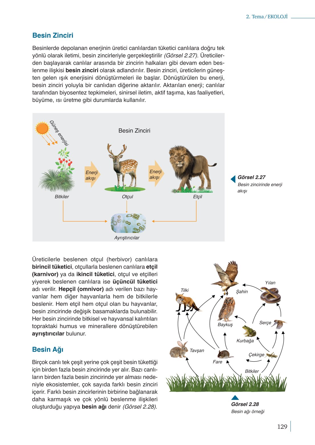 10. Sınıf Meb Yayınları Biyoloji Ders Kitabı Sayfa 129 Cevapları