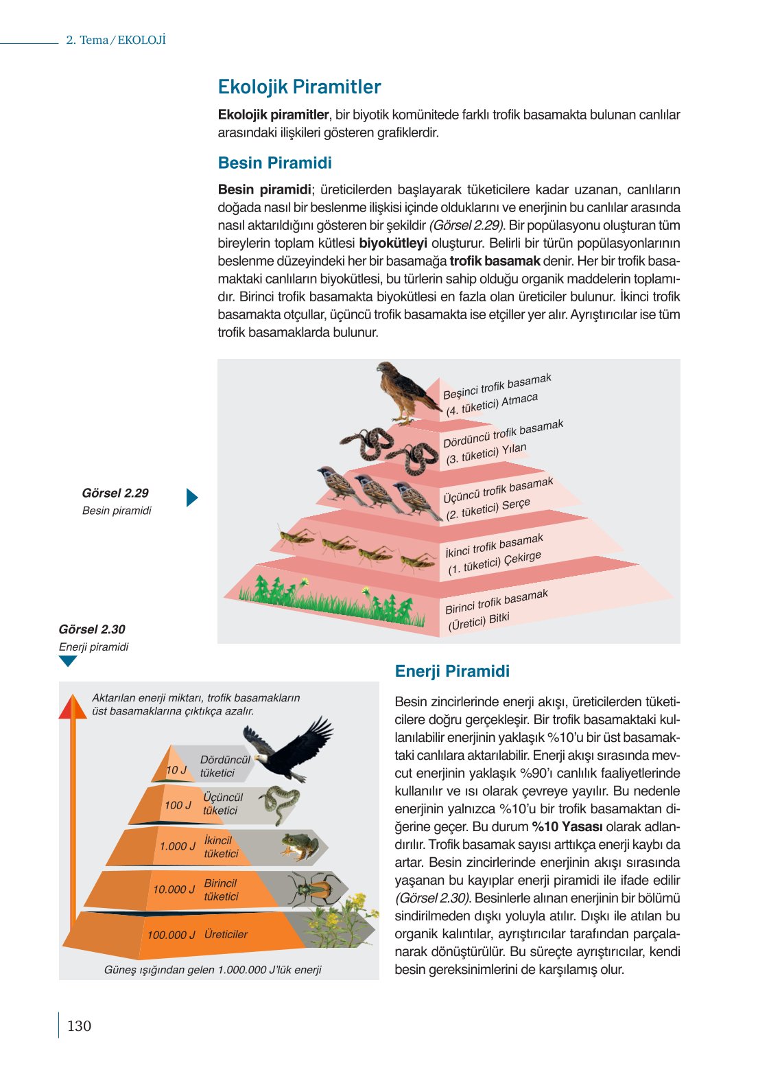 10. Sınıf Meb Yayınları Biyoloji Ders Kitabı Sayfa 130 Cevapları